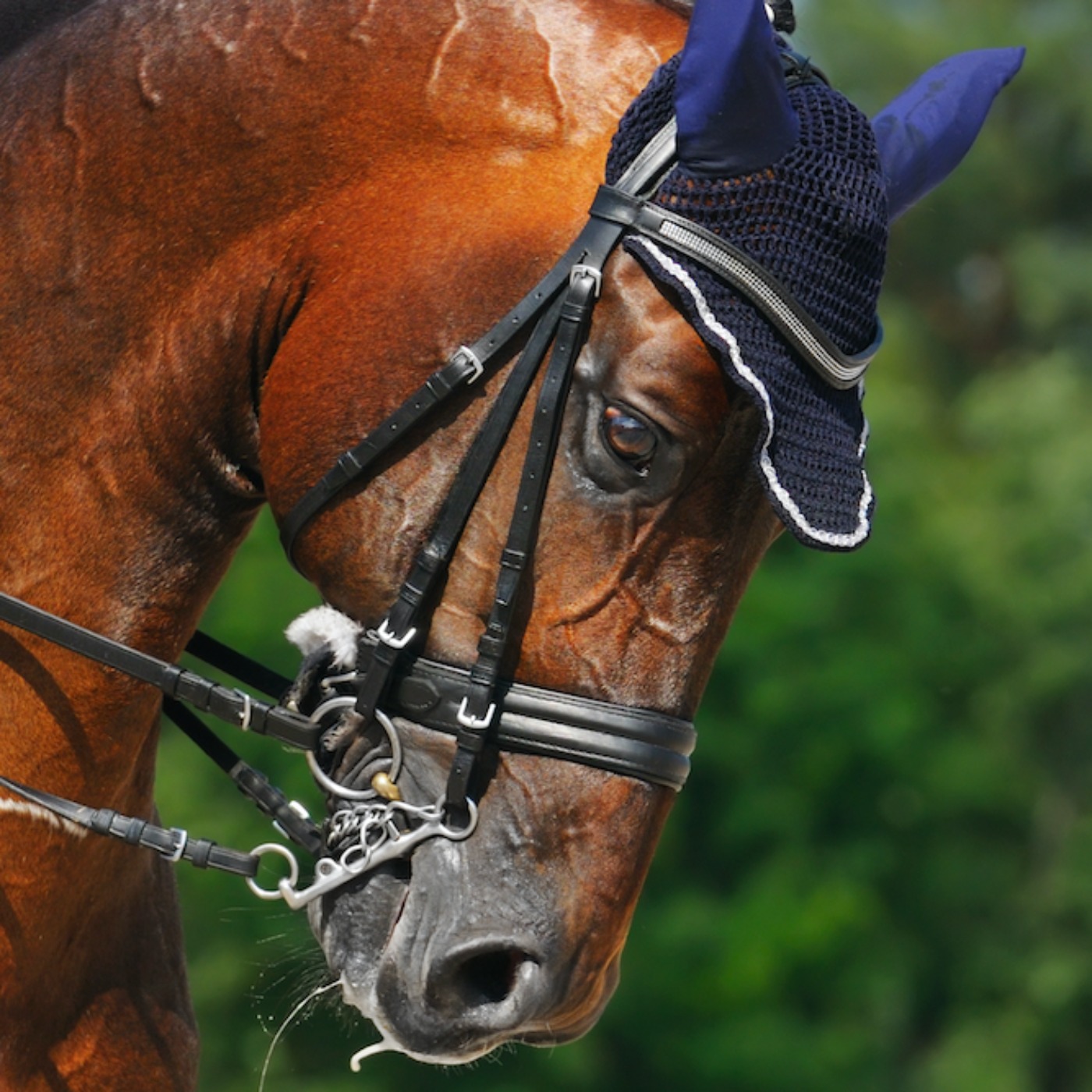 174 - Åpent brev til FEI