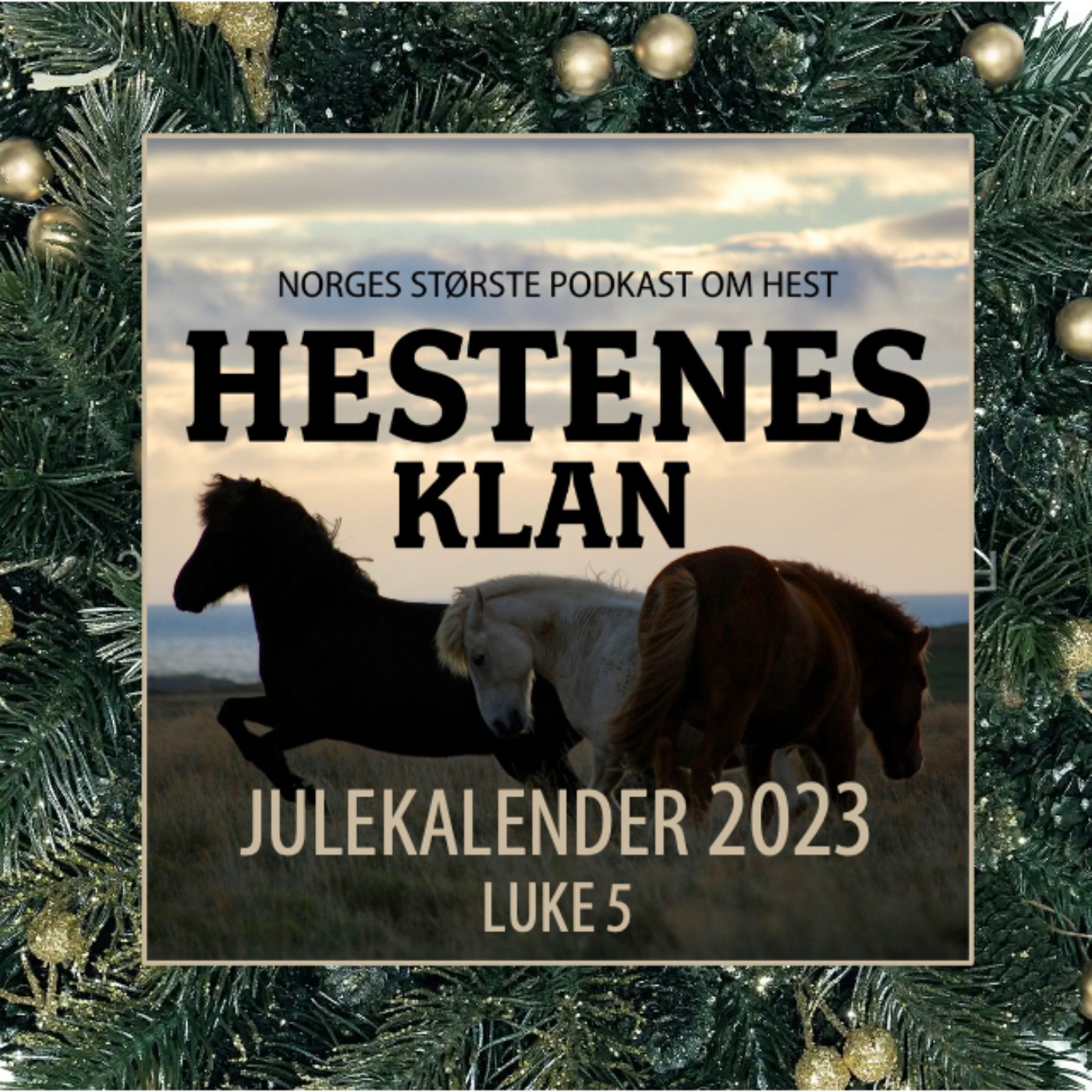HK - Julekalender - Luke 5
