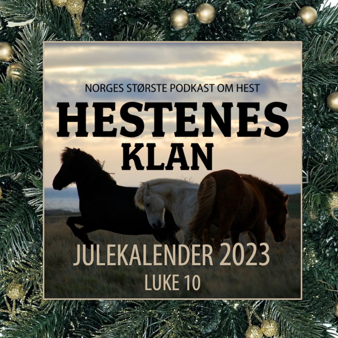 HK - Julekalender - Luke 10