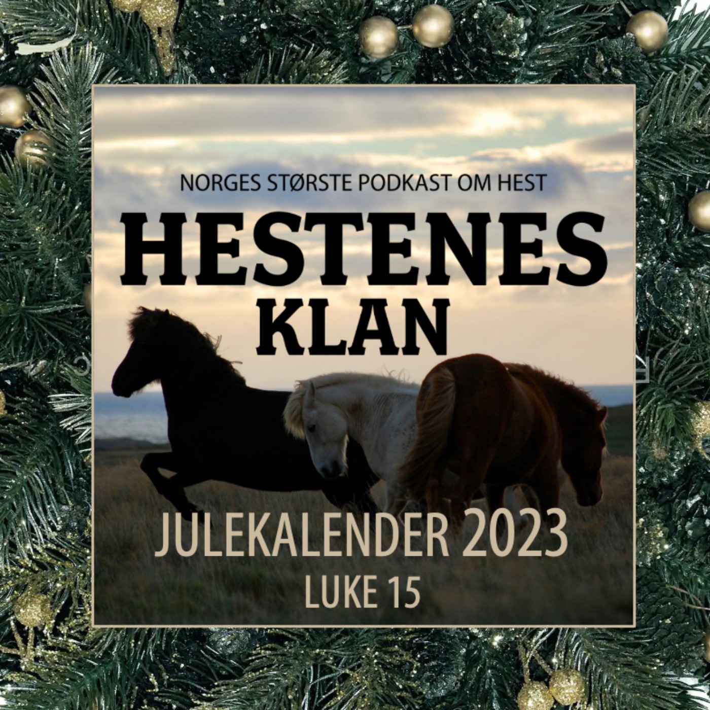 HK - Julekalender - Luke 15