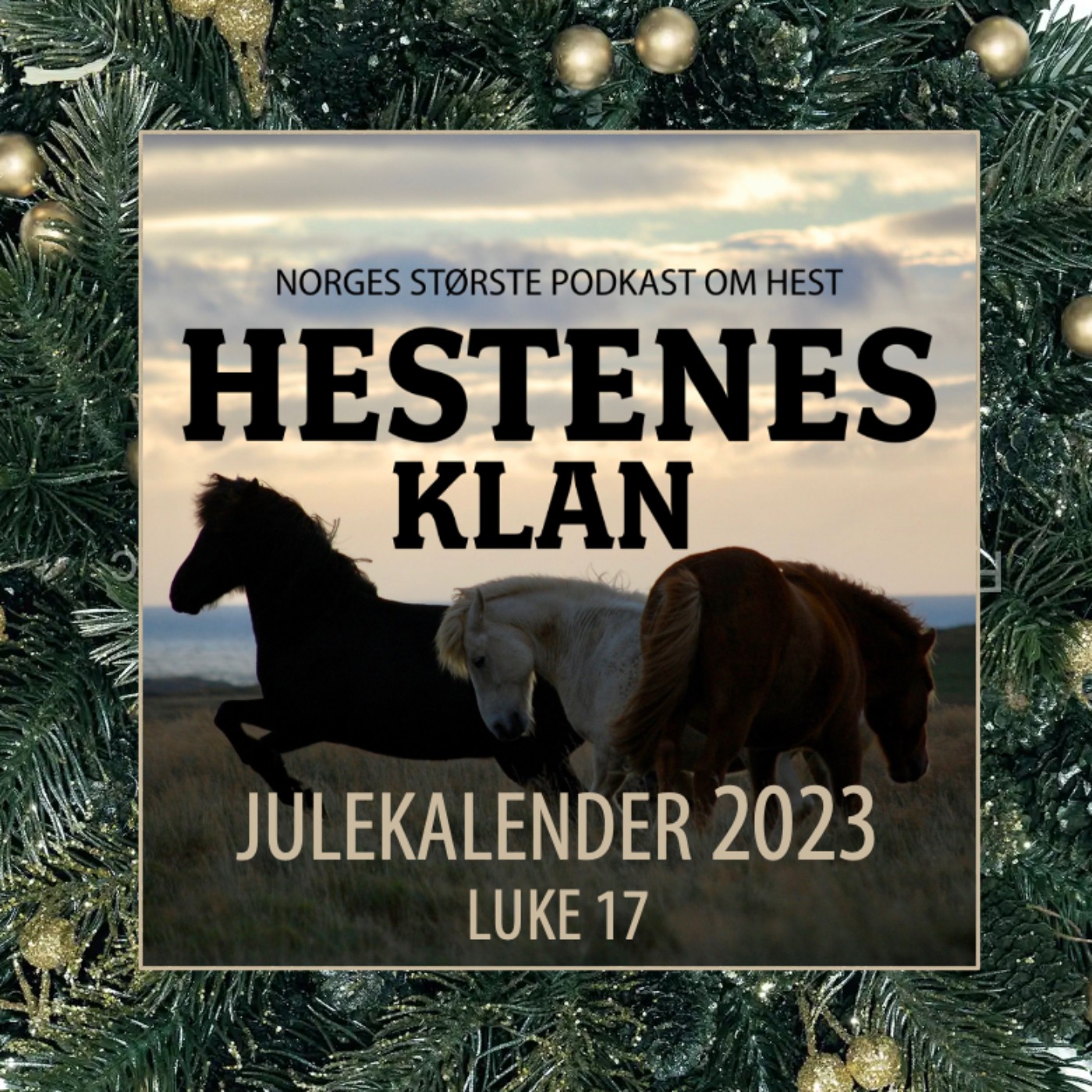 HK - Julekalender - Luke 17