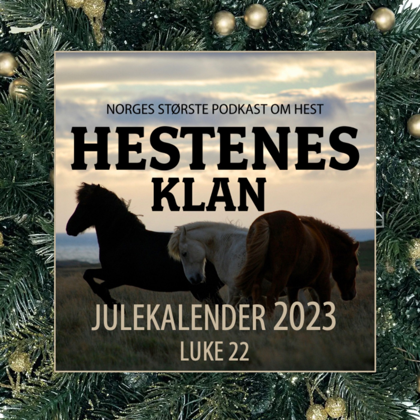 HK - Julekalender - Luke 22