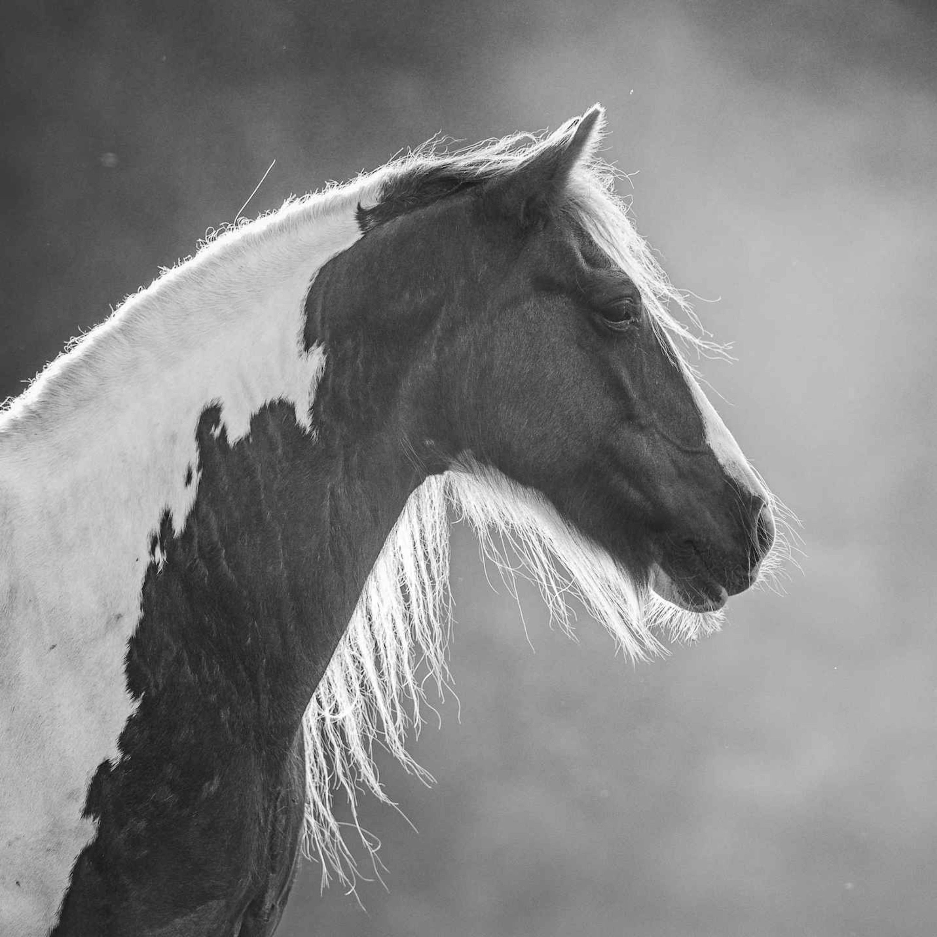 205 - Happy Athletes in Paris? Vi trenger en større samtale