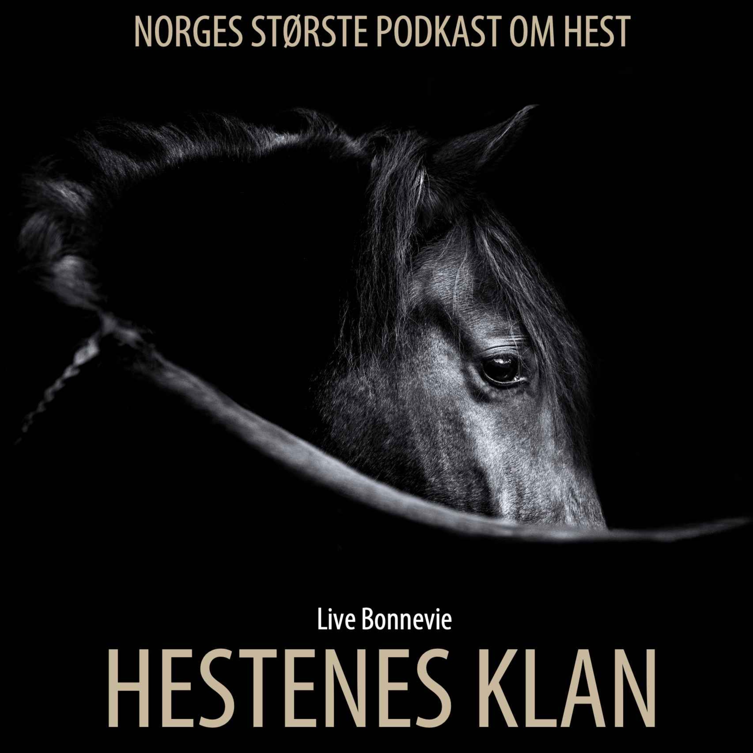 Hestenes klan