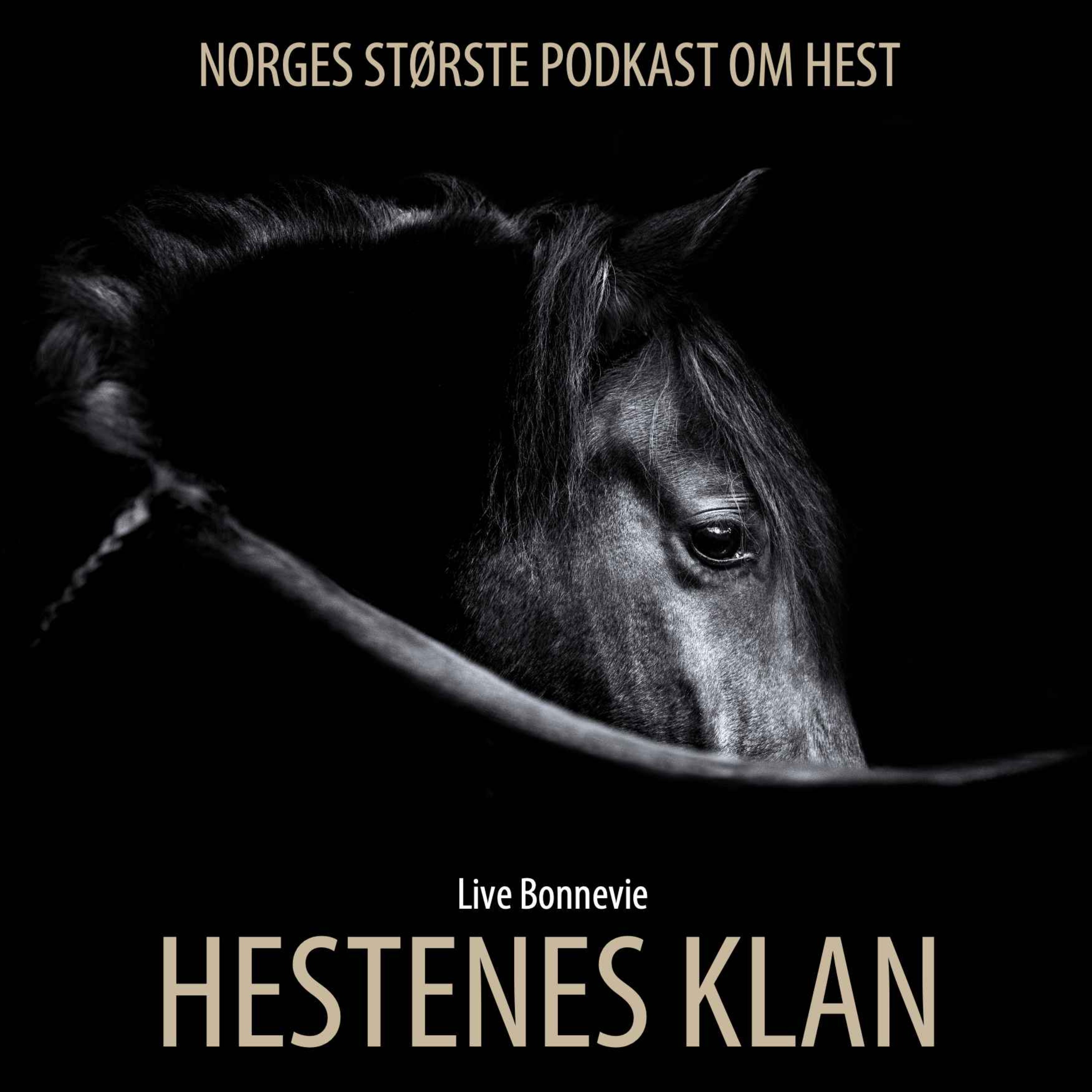 HESTENES KLAN