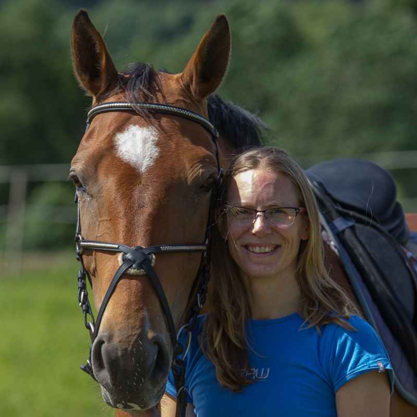 236 - Hesten som venn og likeverdig partner