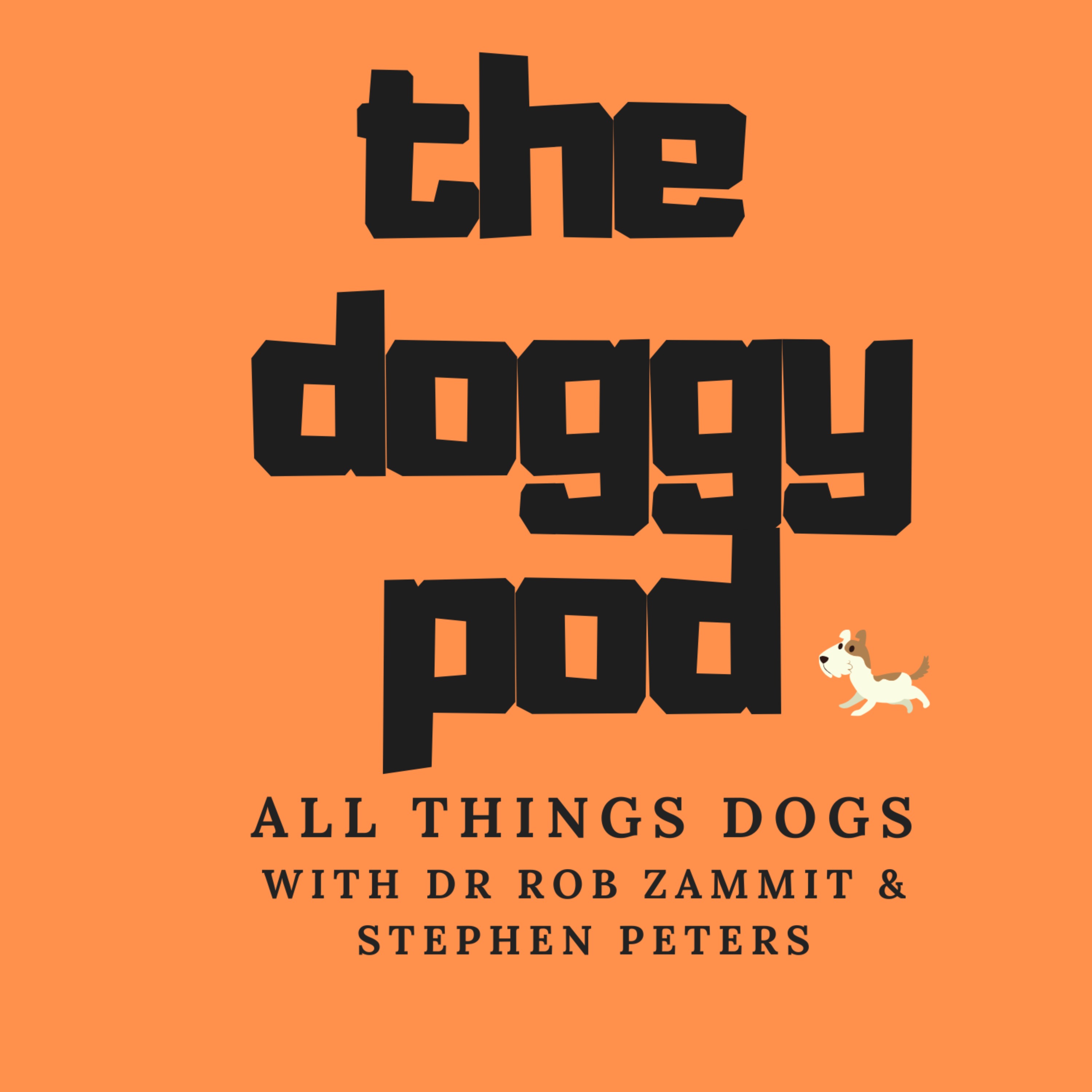 cover art for The problem dog?