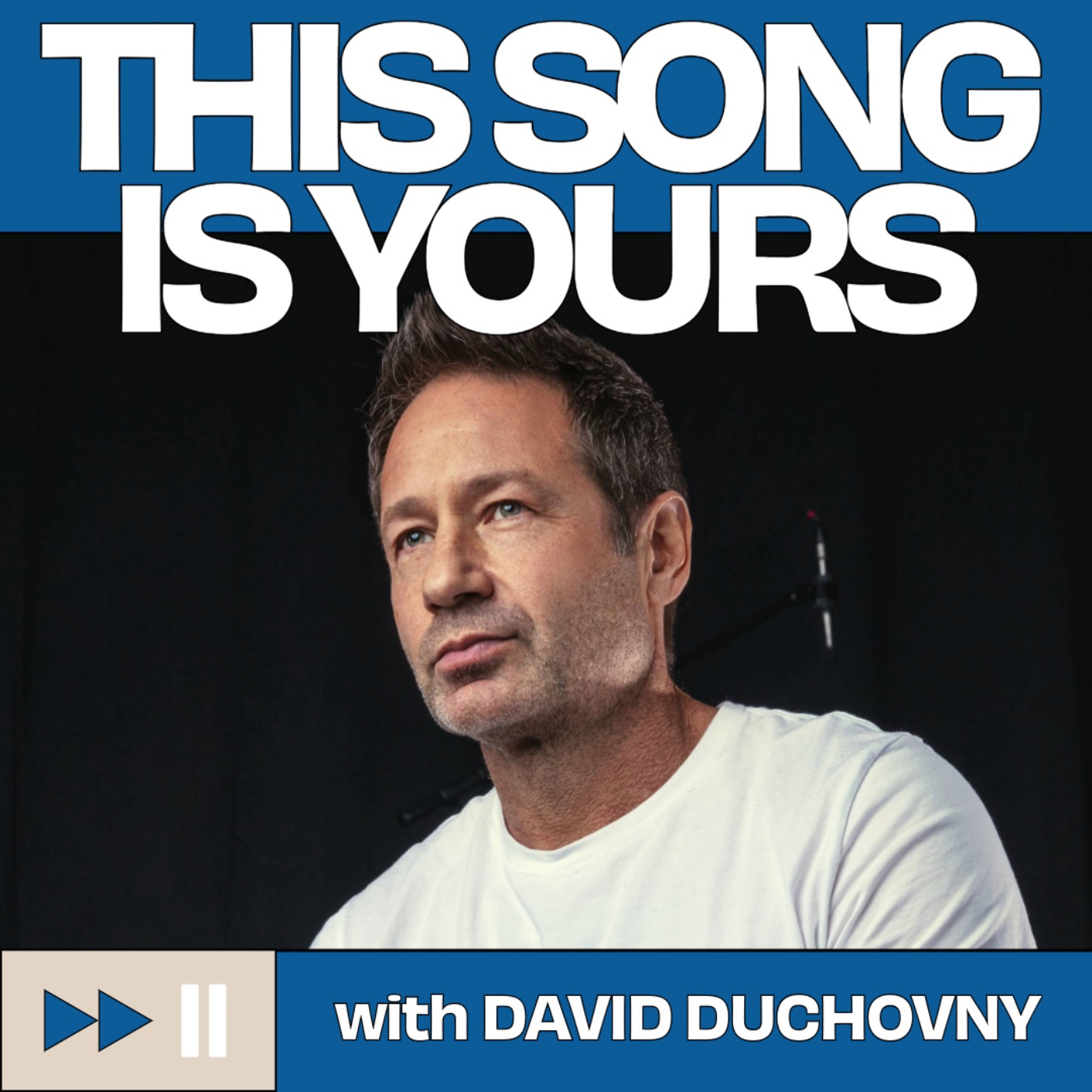 cover art for David Duchovny