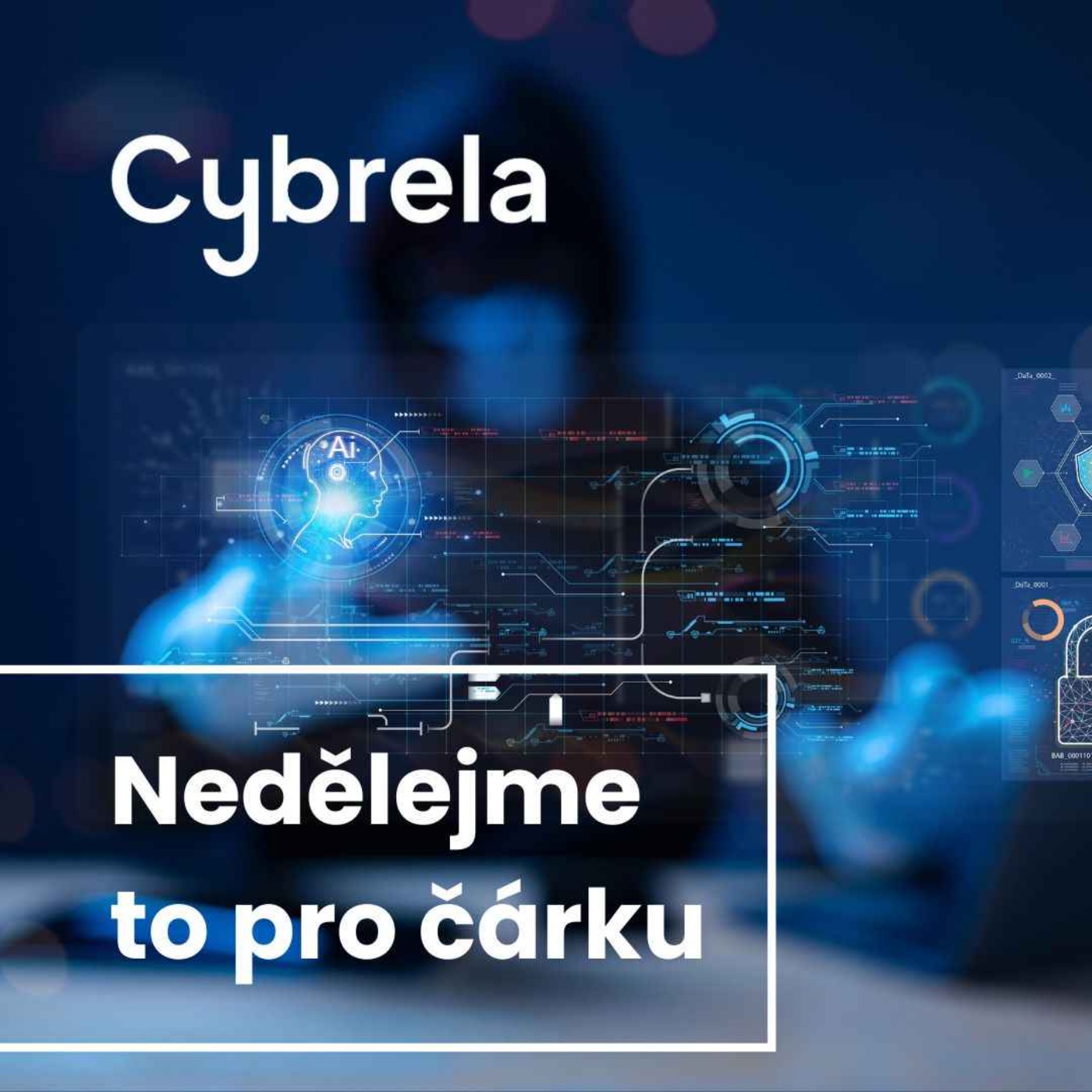 Cybrela: Nedělejme to pro čárku episode artwork