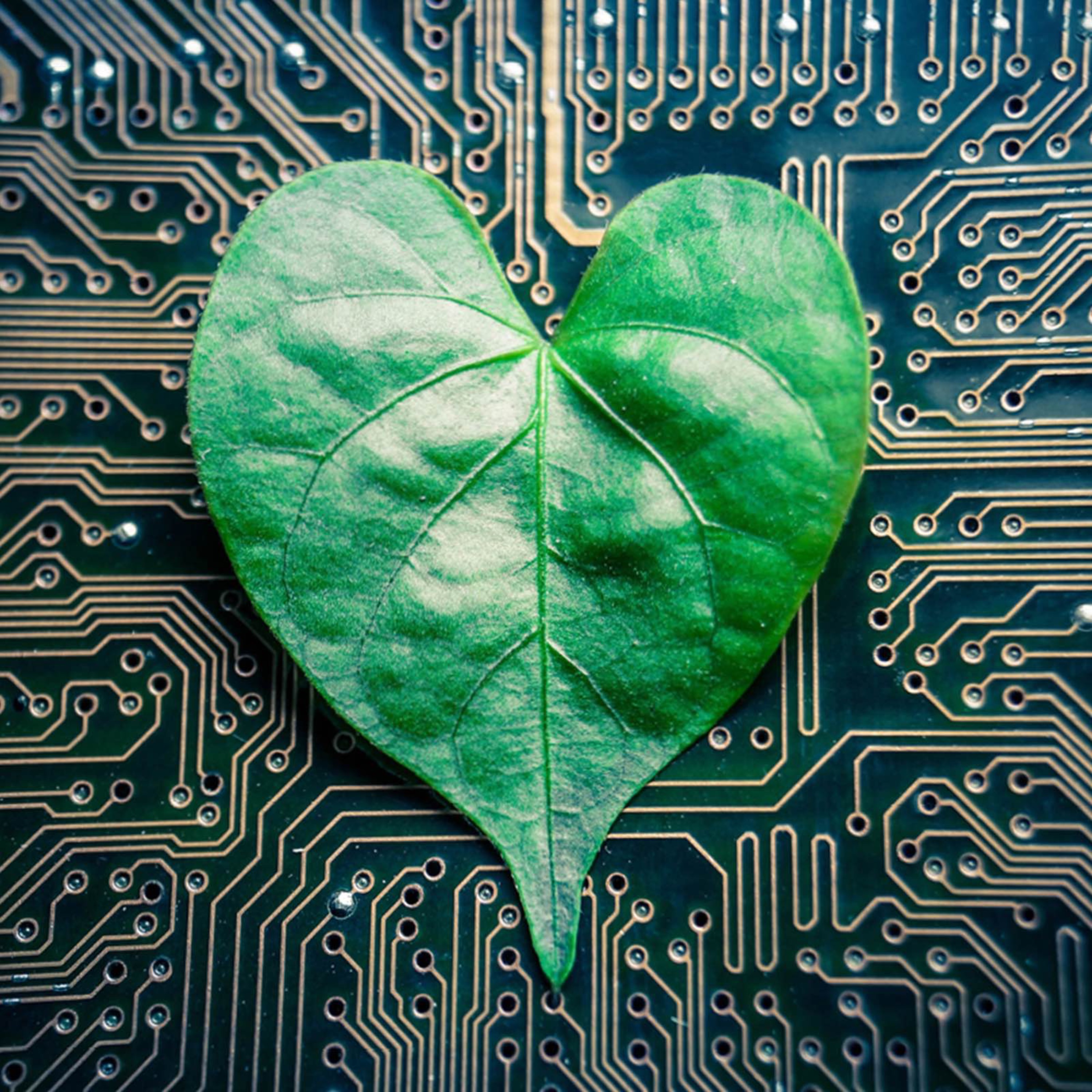 Episode 44: How a new ‘decentralized web’ will change the world of work episode artwork