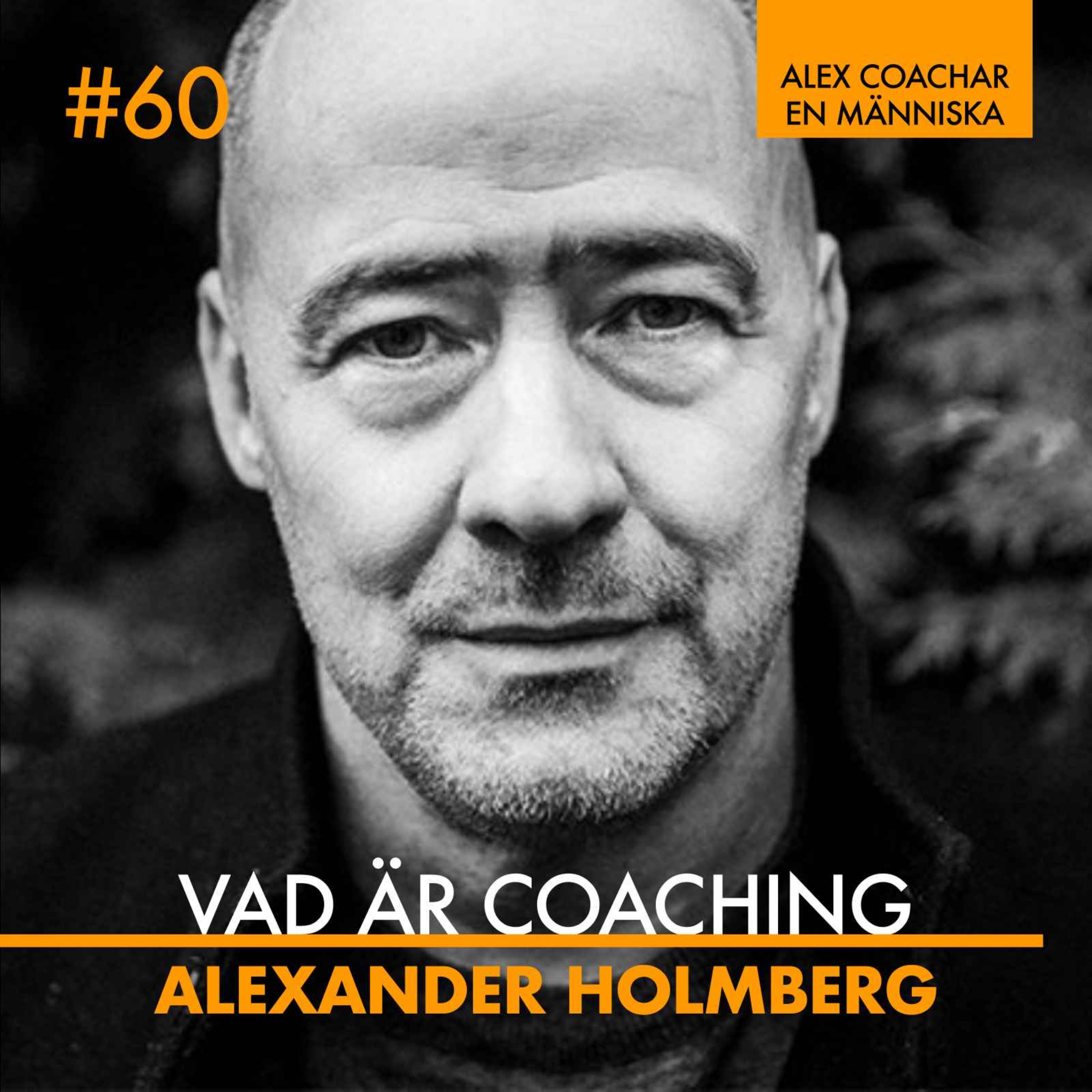 Alex coachar en människa