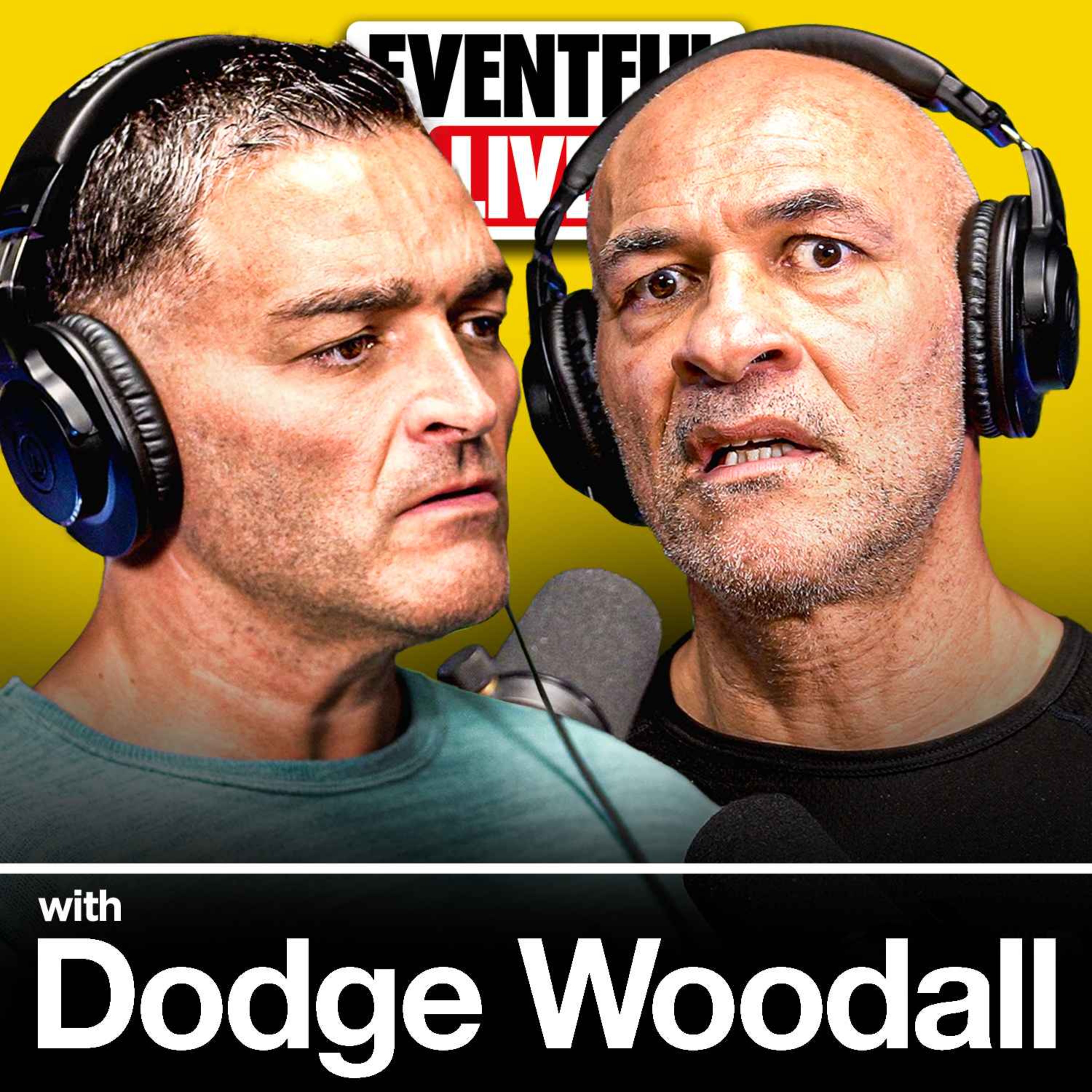 Episode Artwork