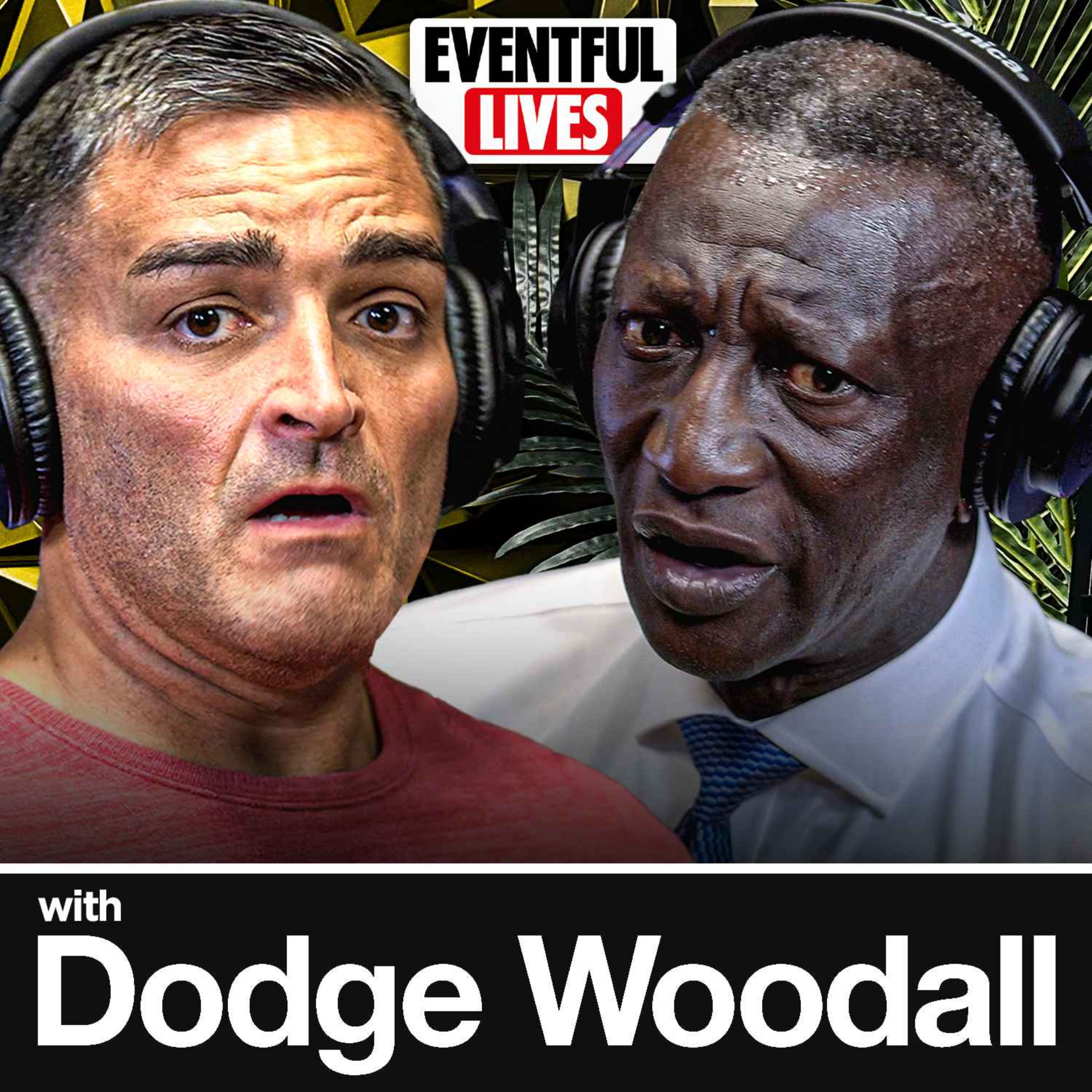 Episode Artwork