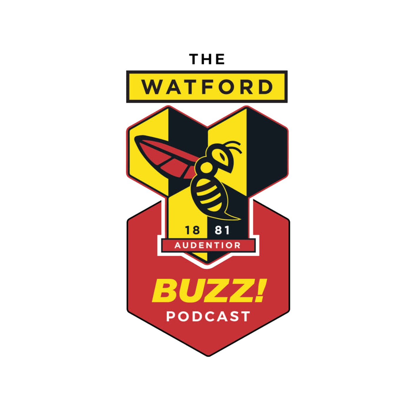 The Watford FC Buzz Podcast