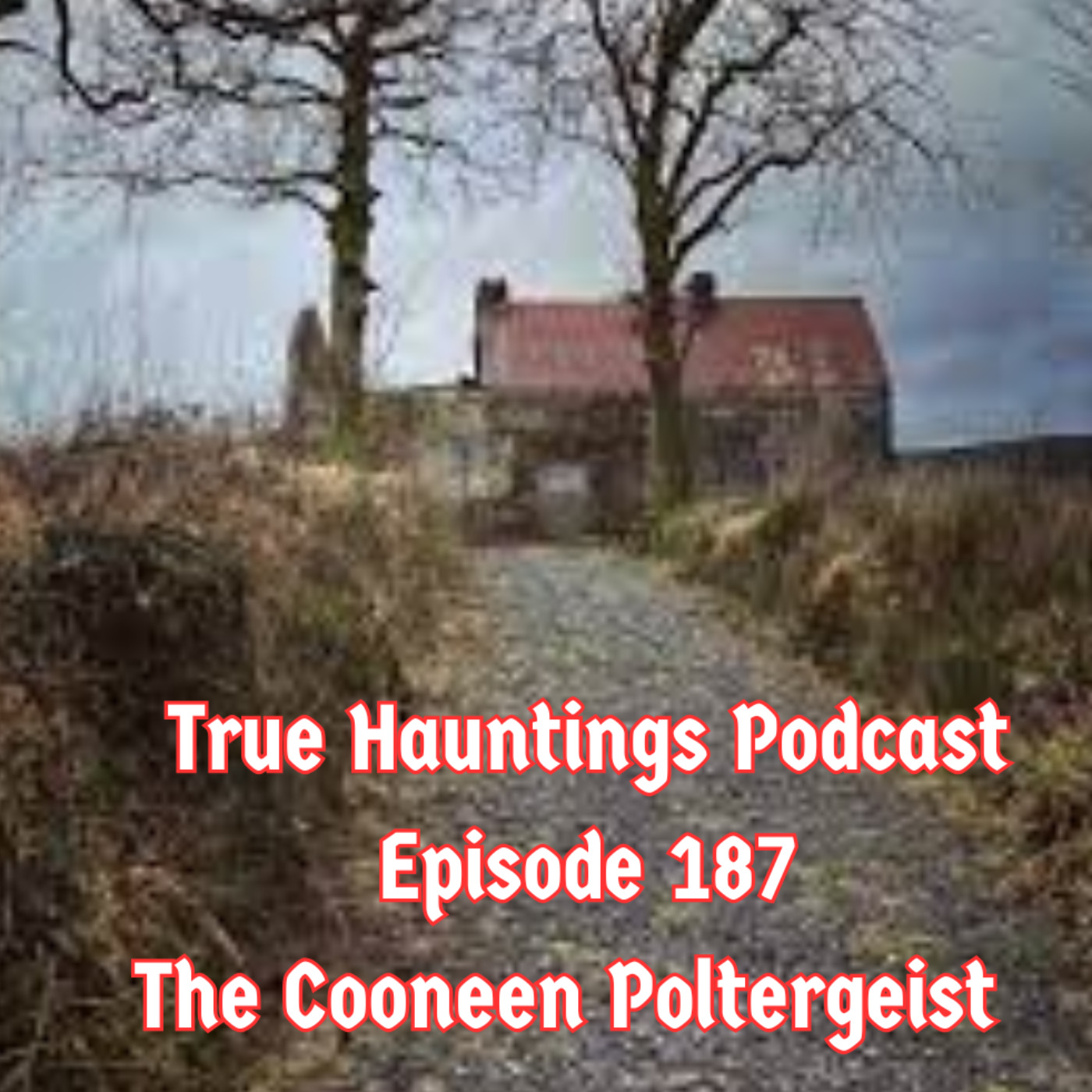Case 187: Cooneen Poltergeist Northern Ireland