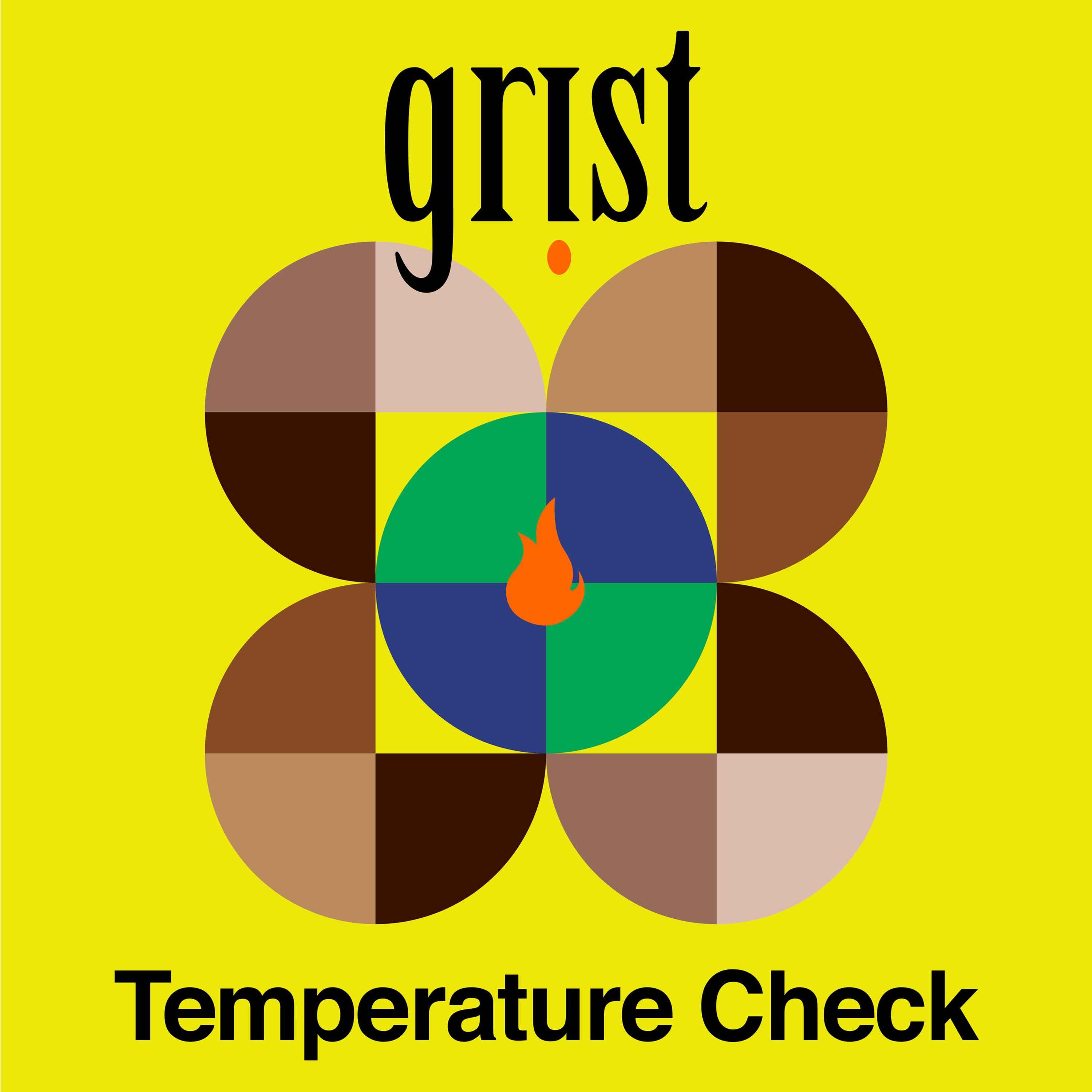 cover art for Introducing Temperature Check