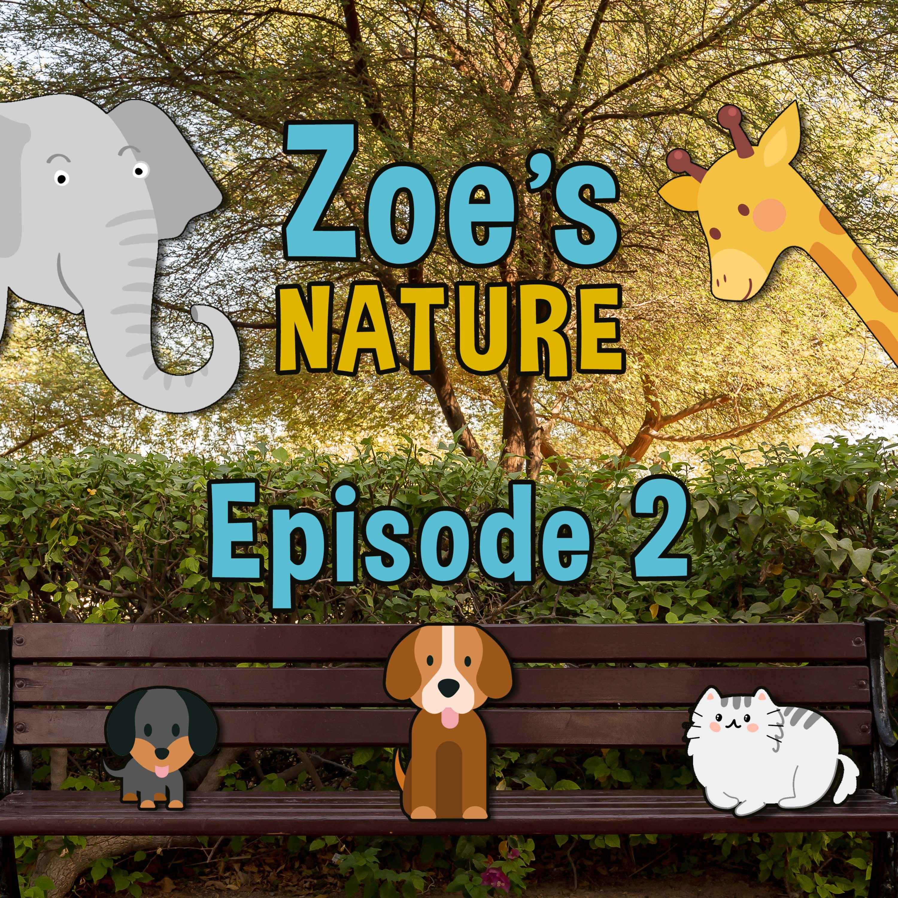 cover art for Zoe's Nature Ep2