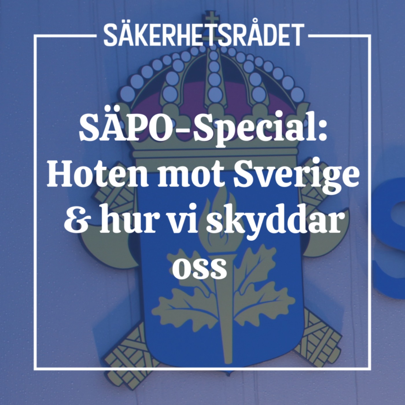 Säkerhetsrådet