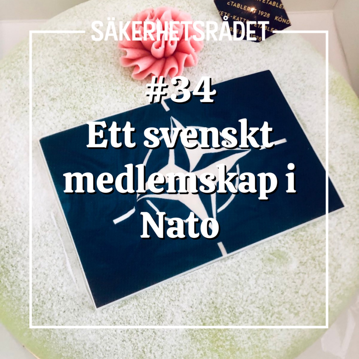 Säkerhetsrådet