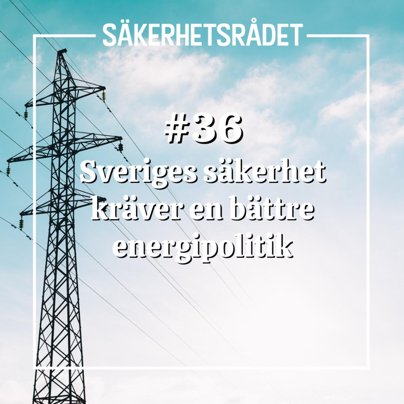 Säkerhetsrådet