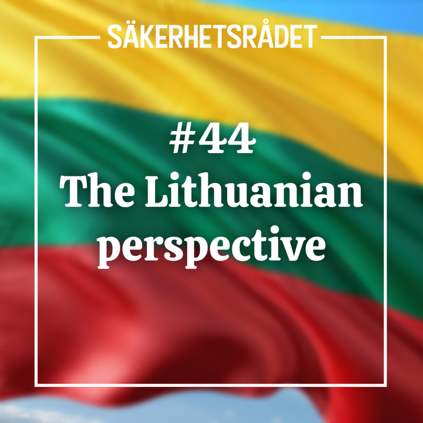 The Lithuanian perspective