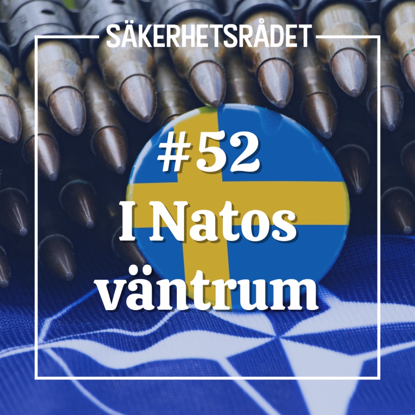 cover art for I Natos väntrum
