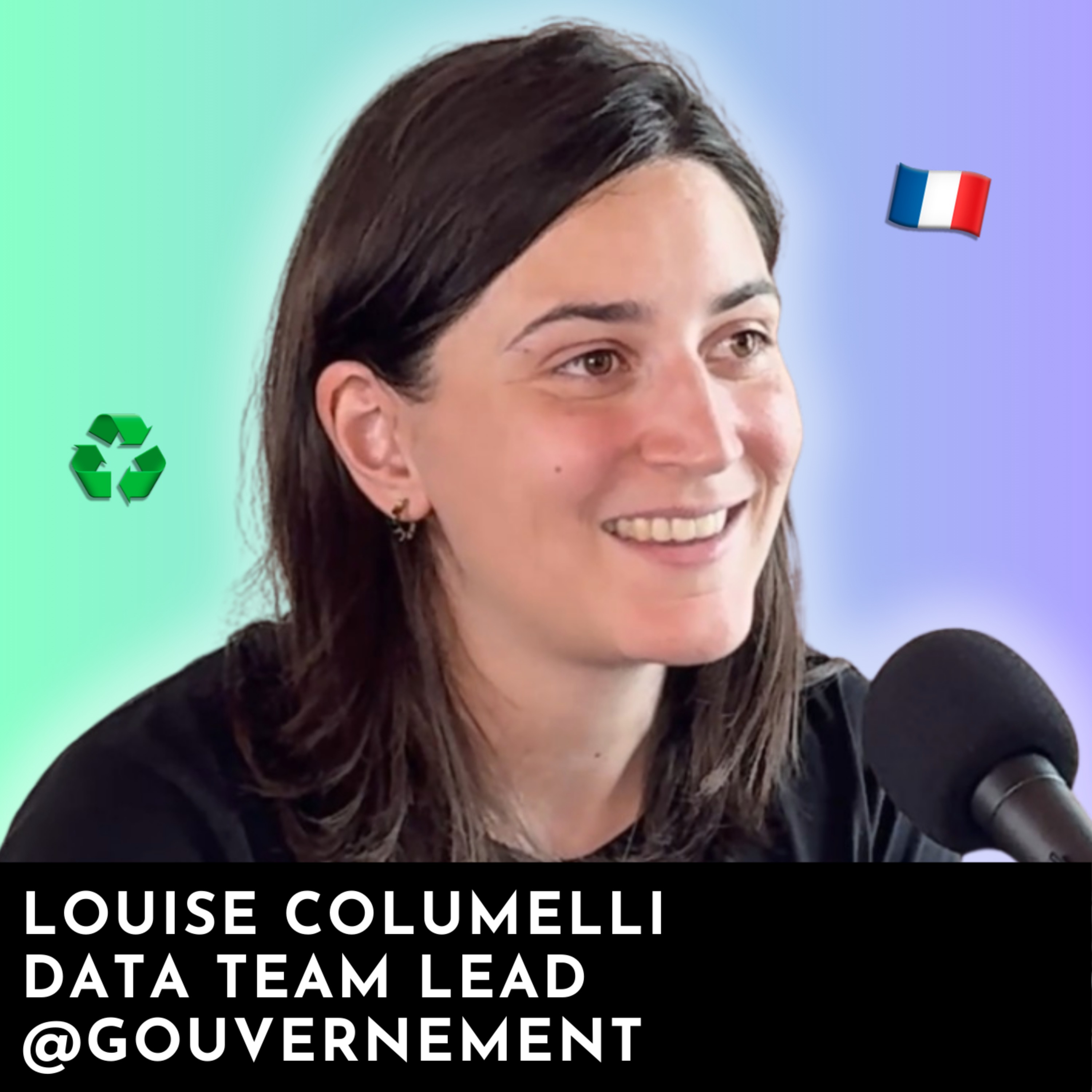 #240 - Lead Data au Ministère de la Transition Écologique