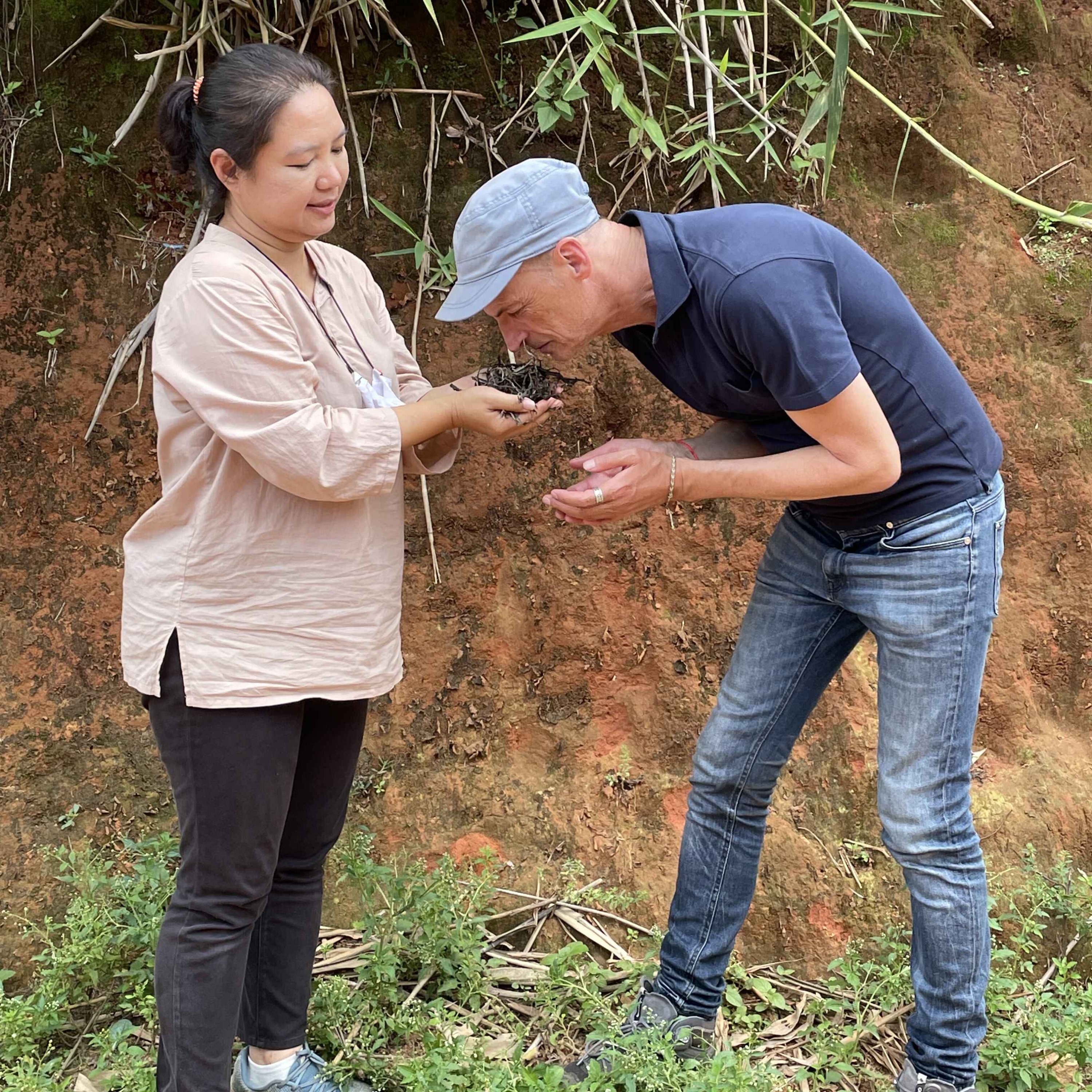 Les thés des Lahu dans le Triangle d'Or