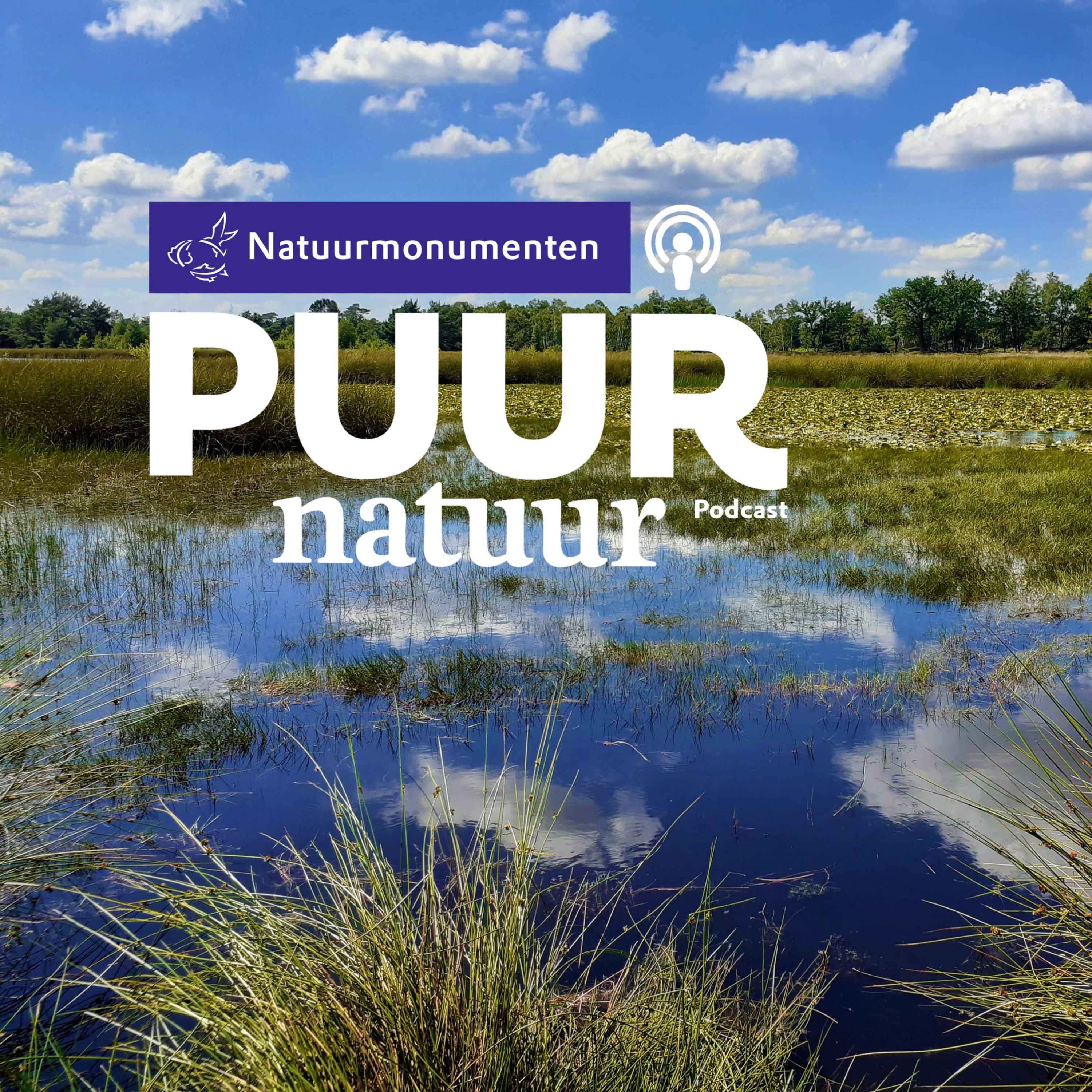 cover art for Puur Natuur: Rob van Schijndel over Rewilding in natuurgebied Kempen-Broek