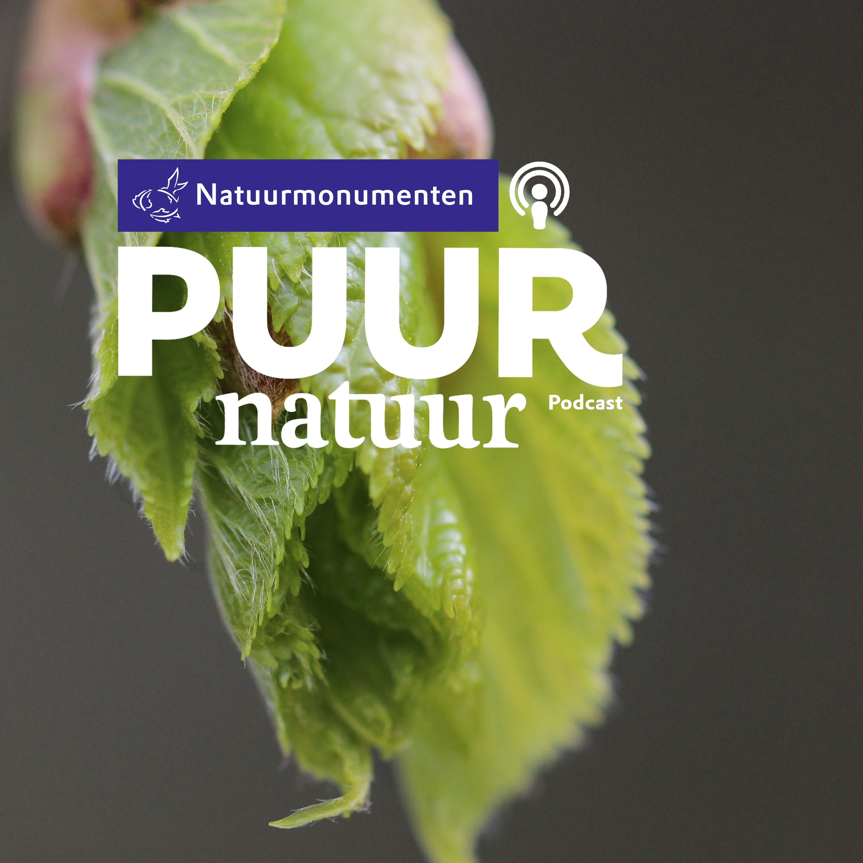 Puur Natuur