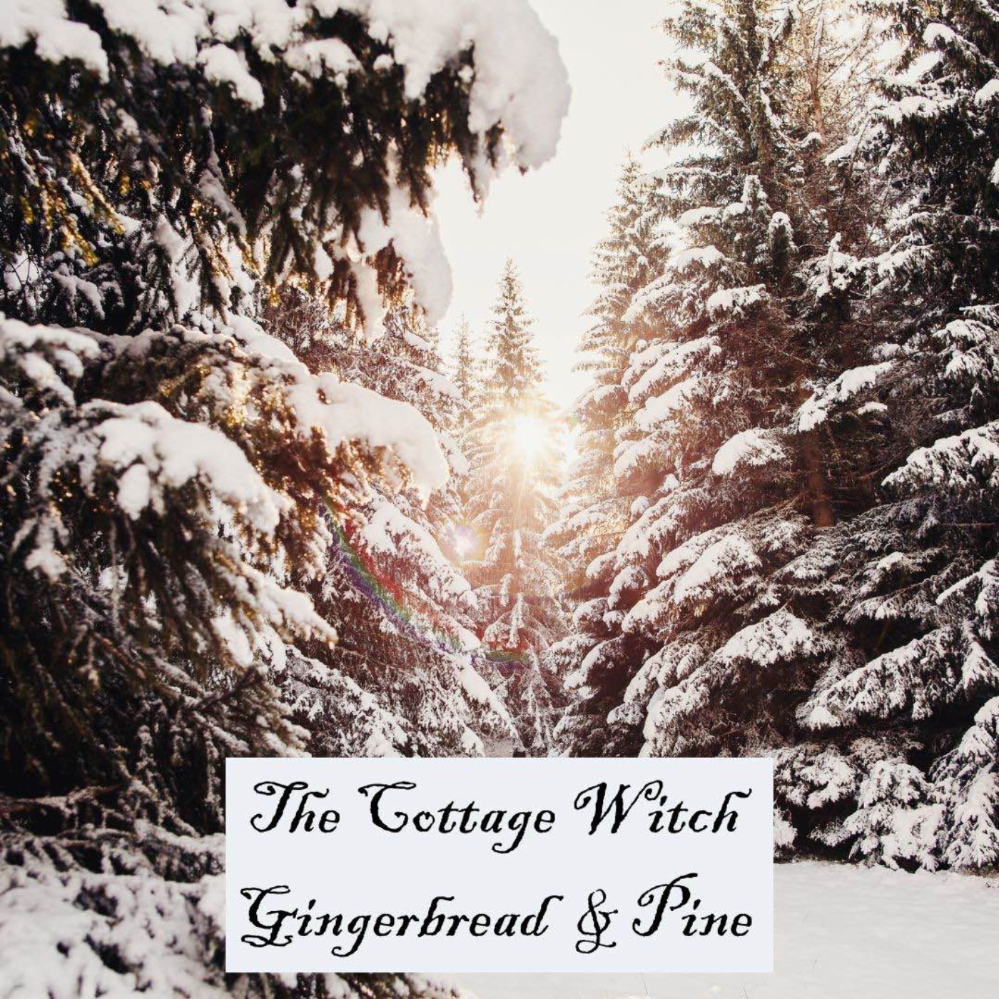 The Cottage Witch - Gingerbread & Pine