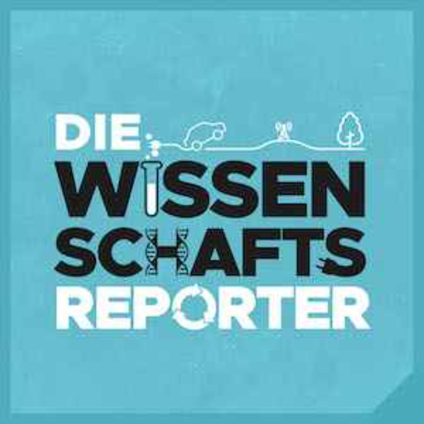 #43 Geschmack und Gehirn