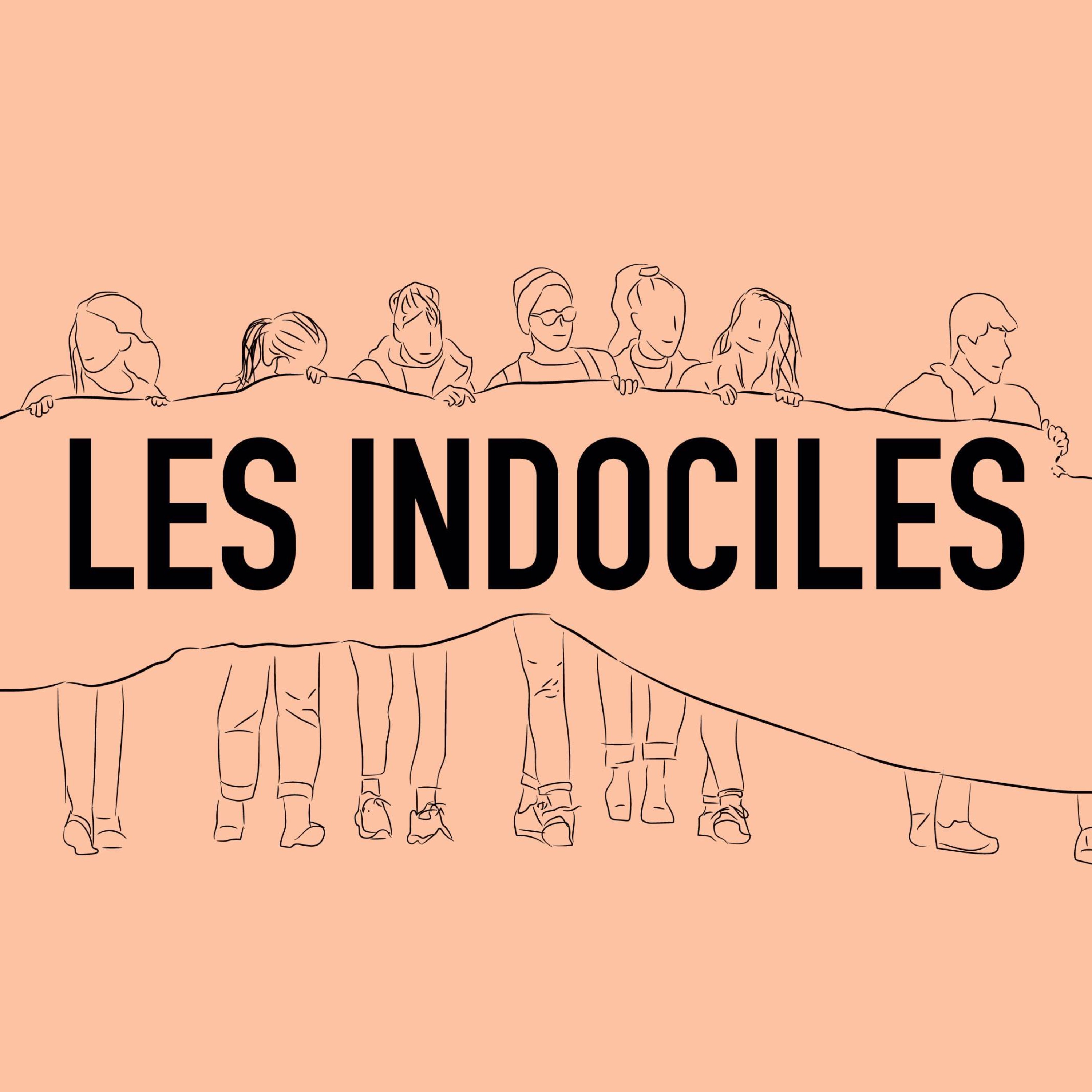 cover art for Trailer Les Indociles