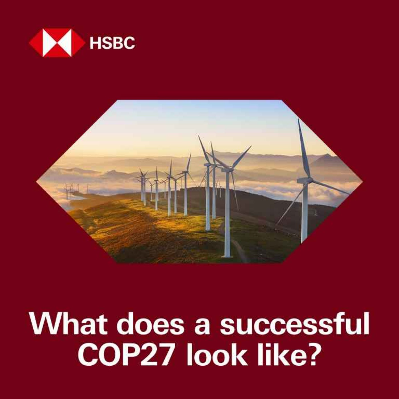 cover art for What does a successful COP27 look like?