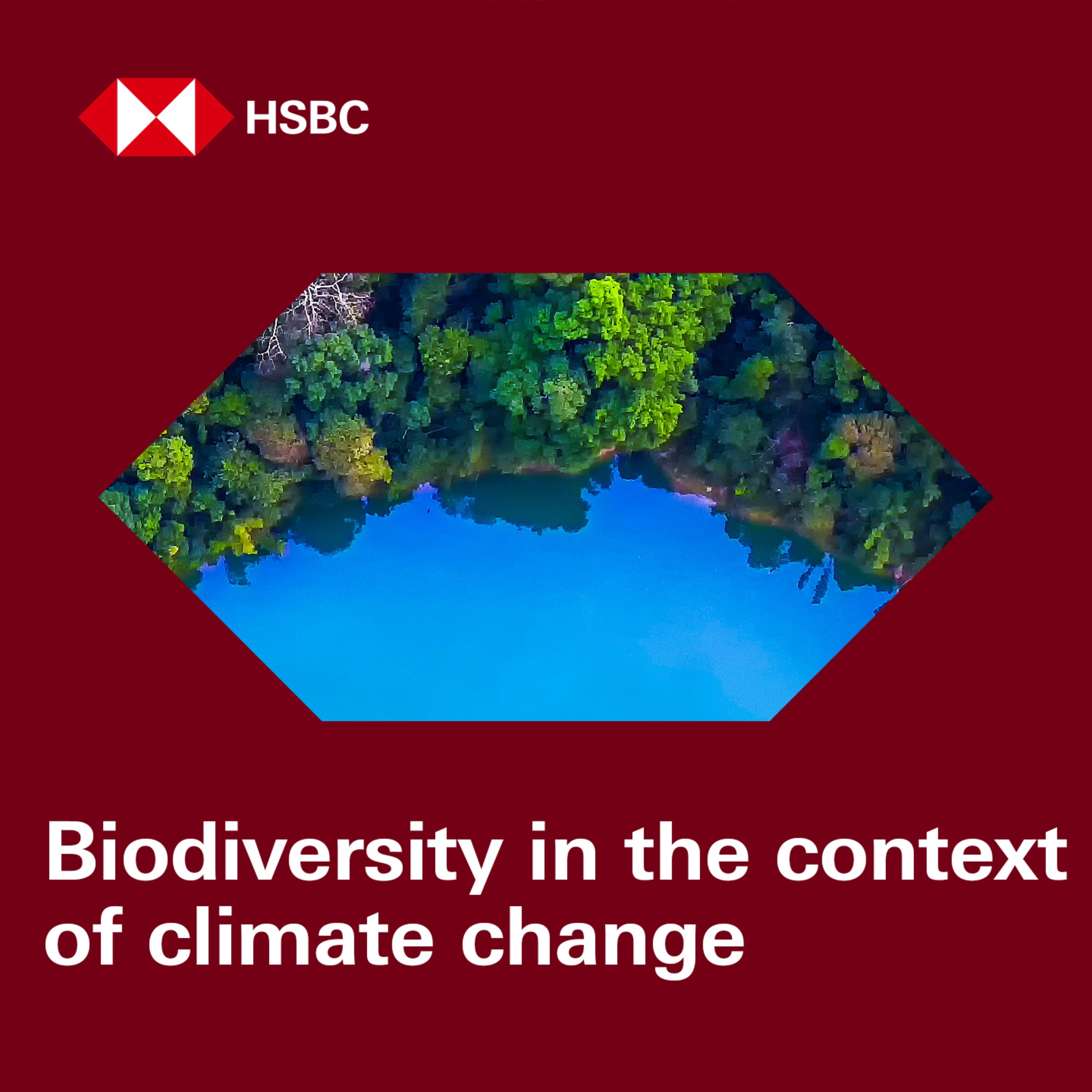 cover art for Biodiversity in the context of climate change