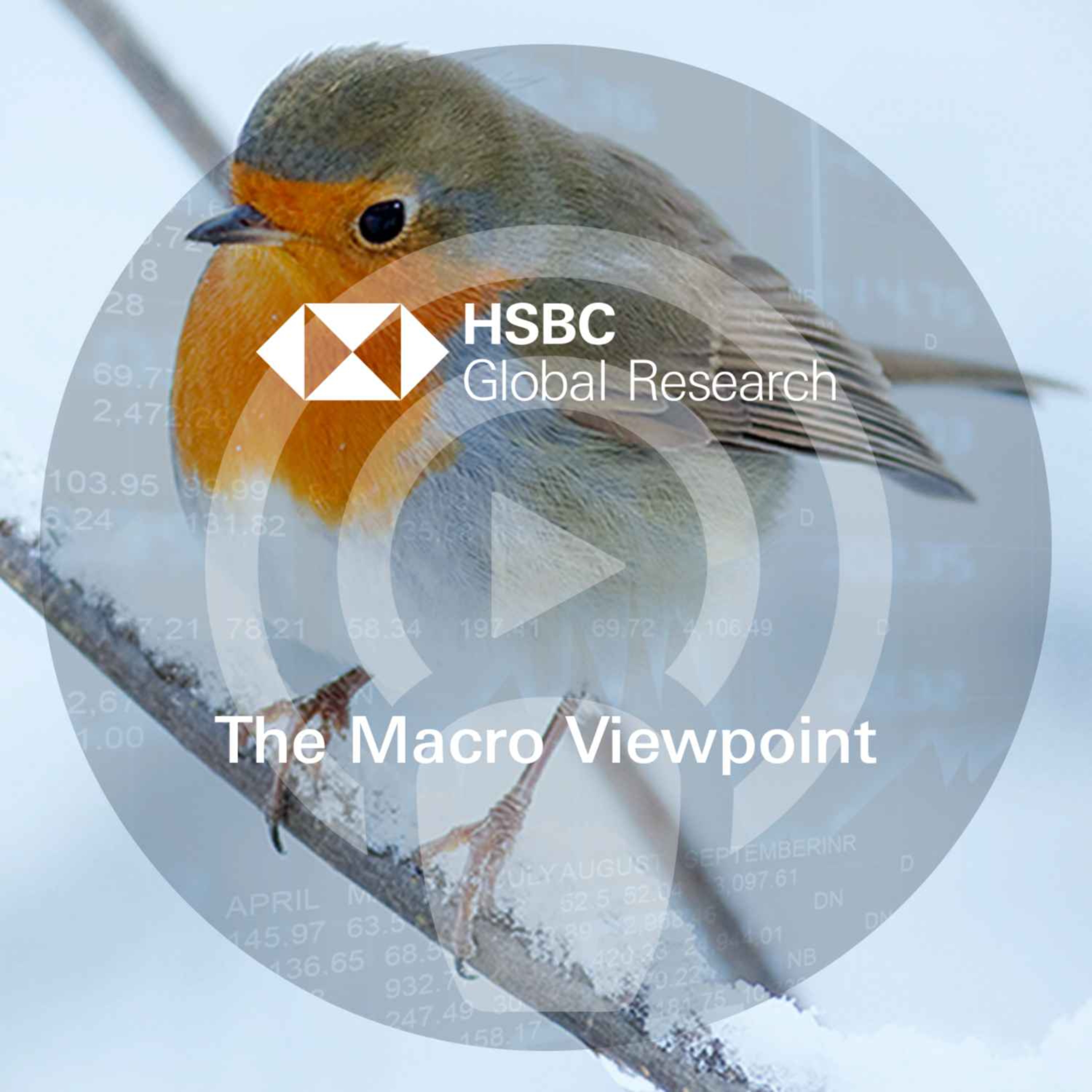 cover art for The Macro Viewpoint - Global economics, China and FX outlooks