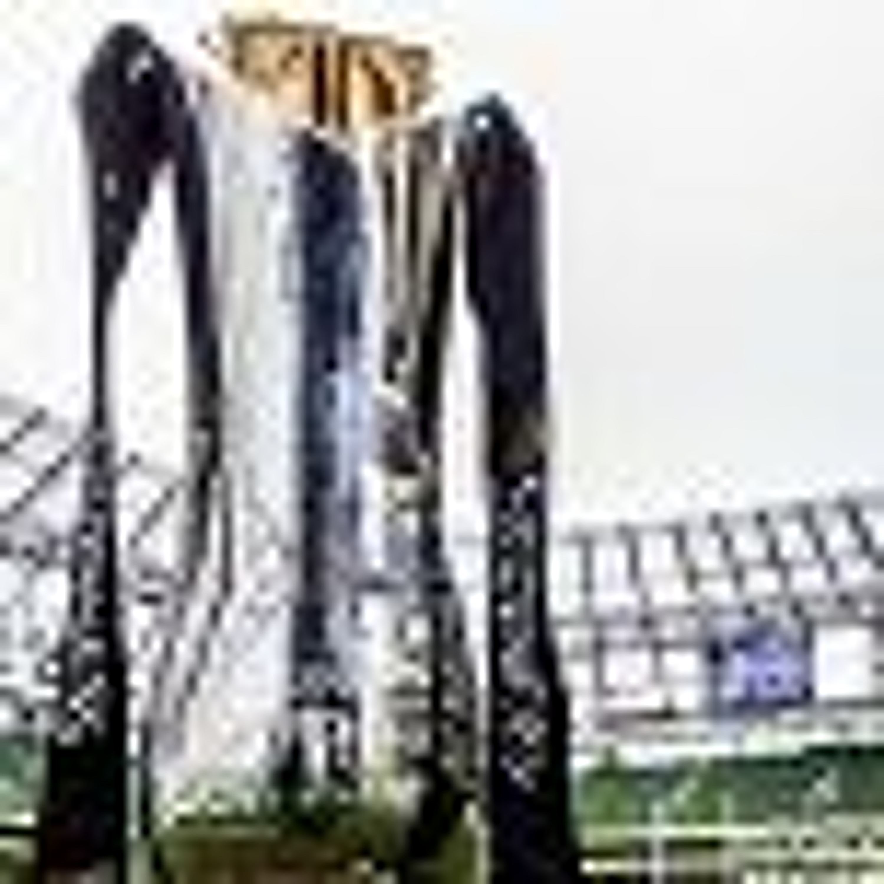 The Brave New World of PRO14 Rugby - Craggy Rugby Podcast