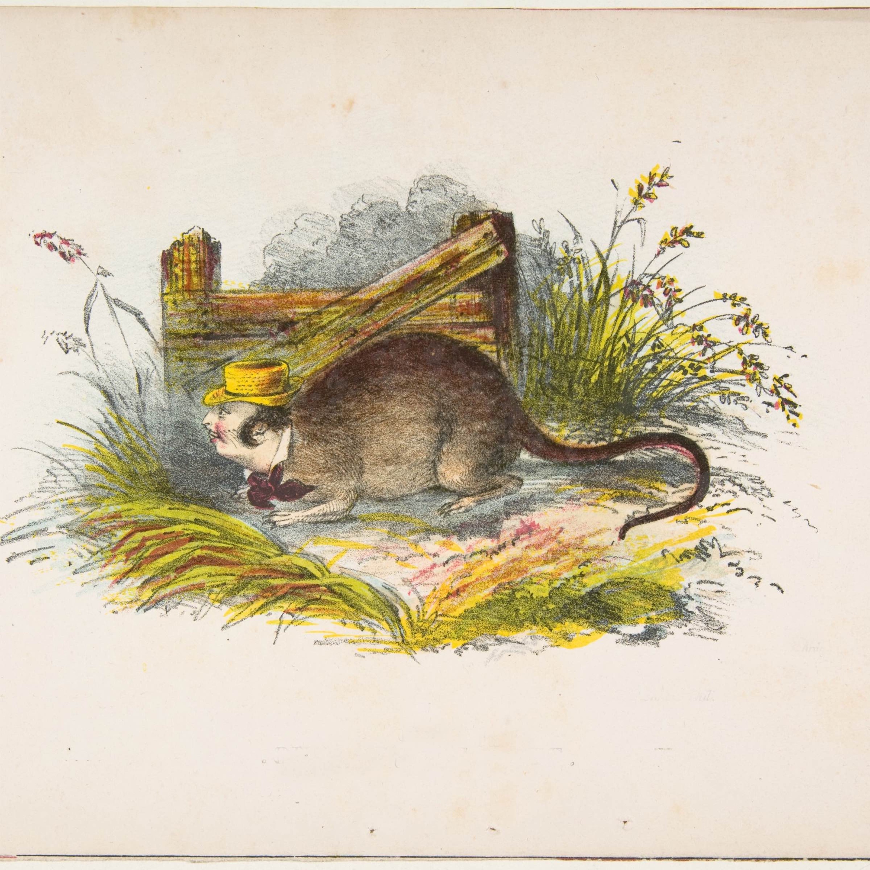 cover art for Råttan