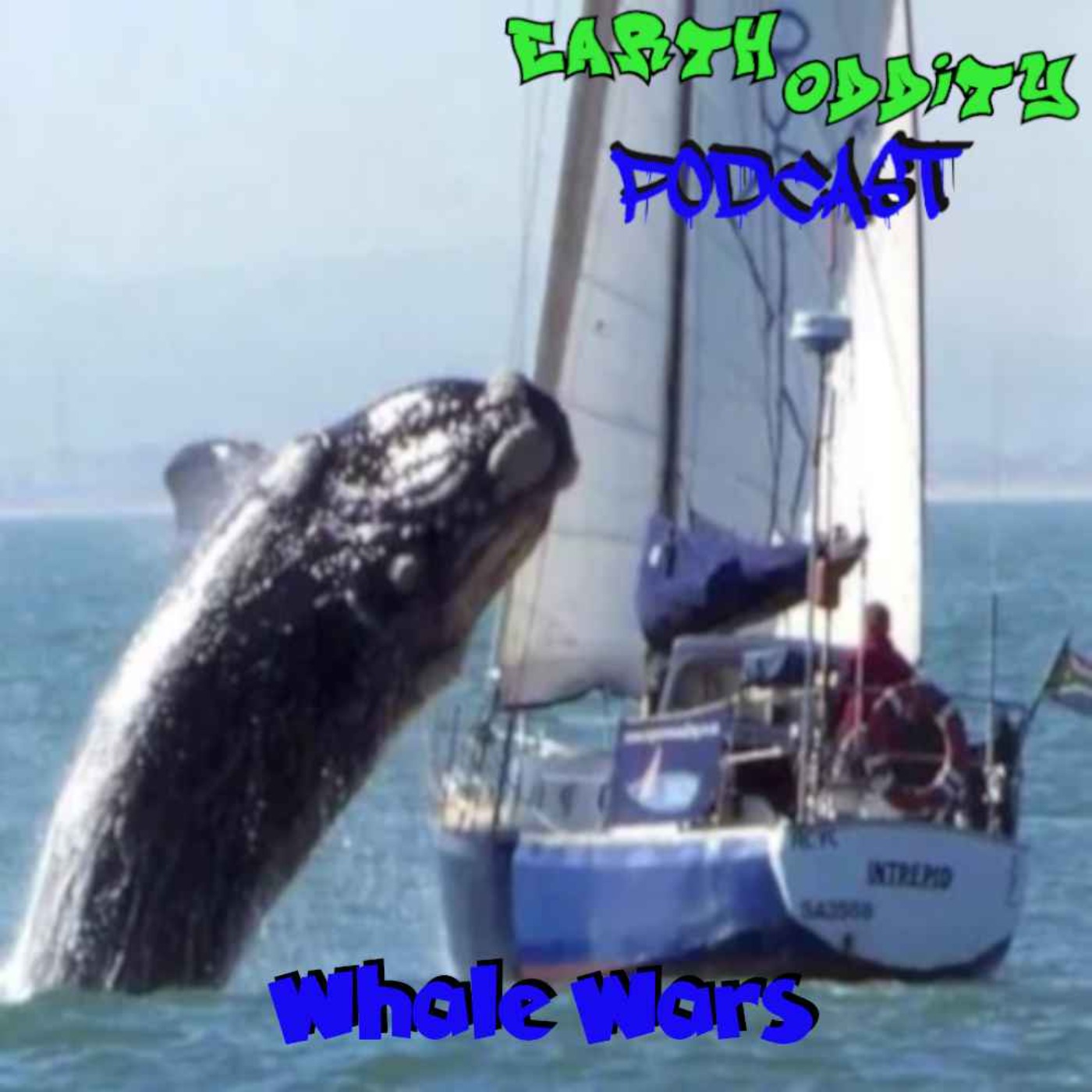 cover art for Earth Oddity 265: Whale Wars