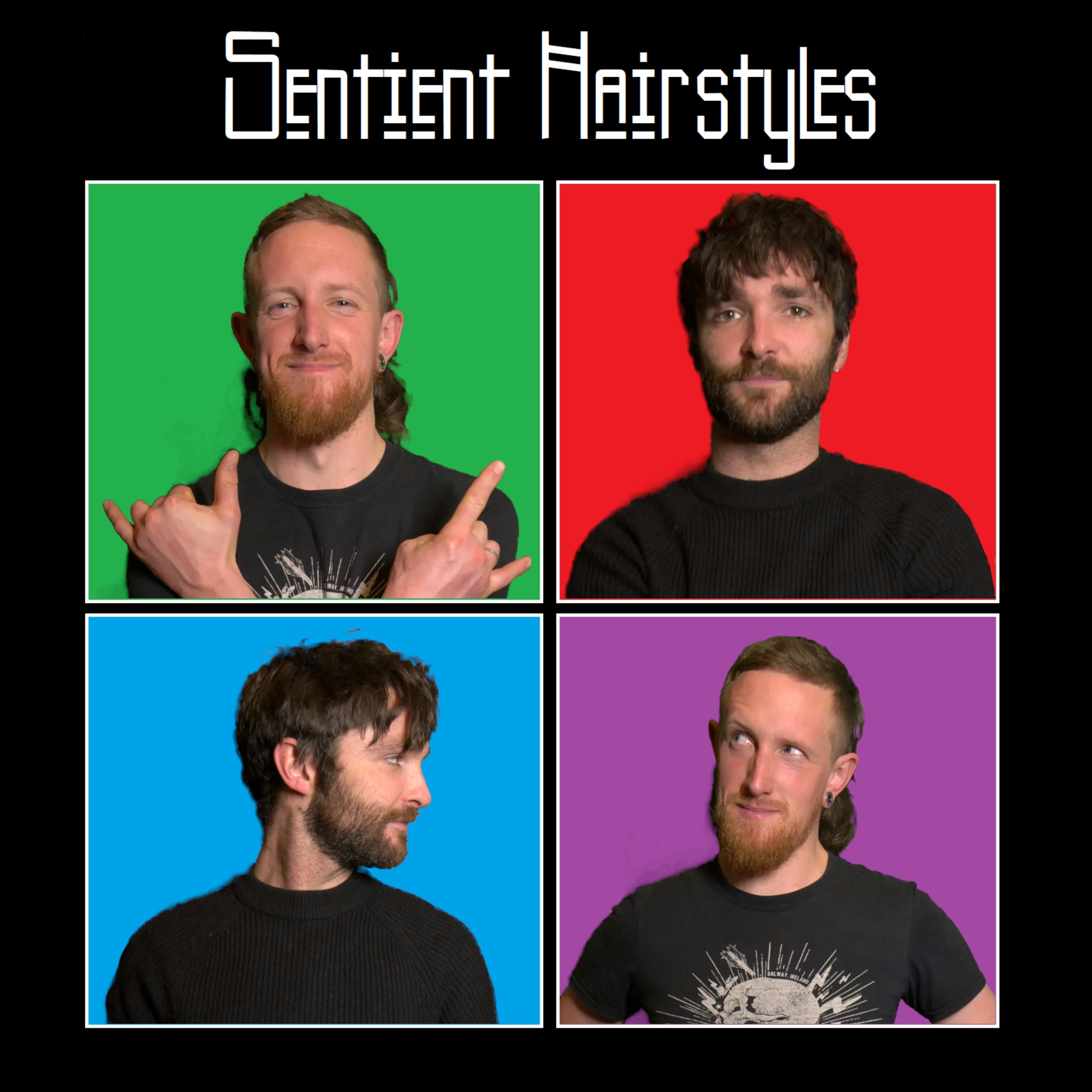 cover art for Sentient Hairstyles Episode 5