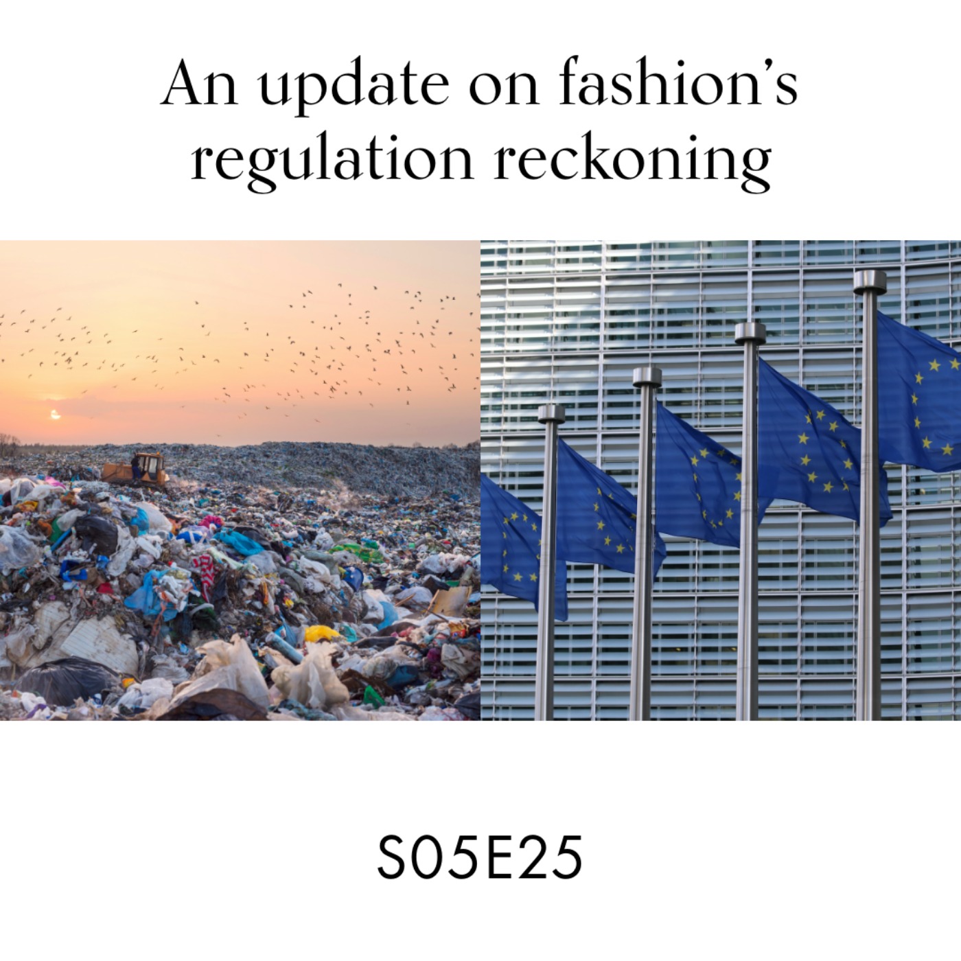 cover art for An update on fashion’s regulation reckoning
