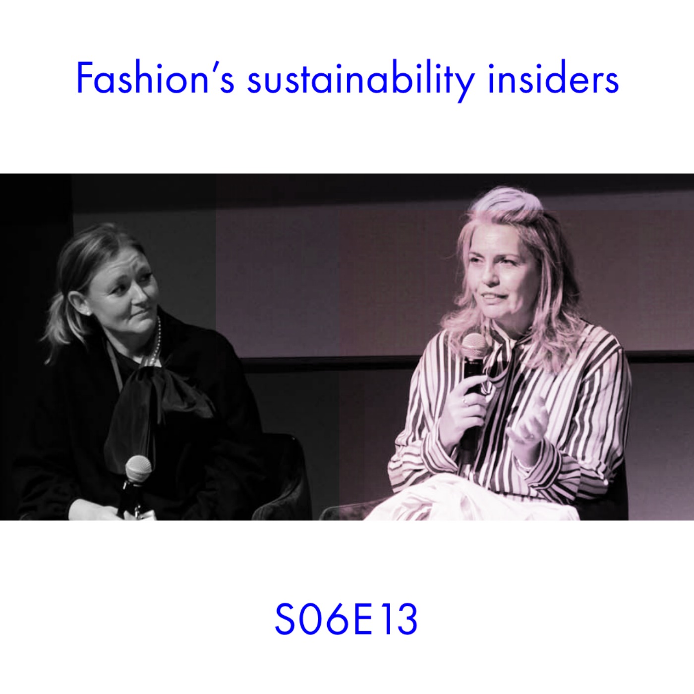 cover art for Fashion’s sustainability insiders