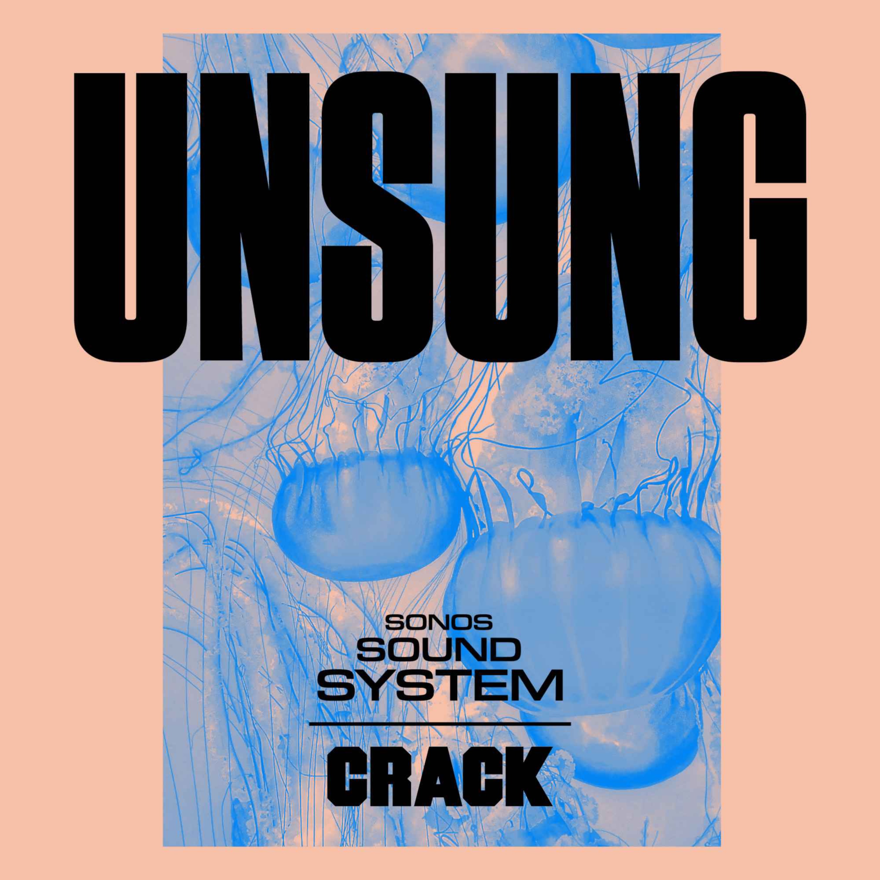 Unsung with Crack Magazine podcast show image