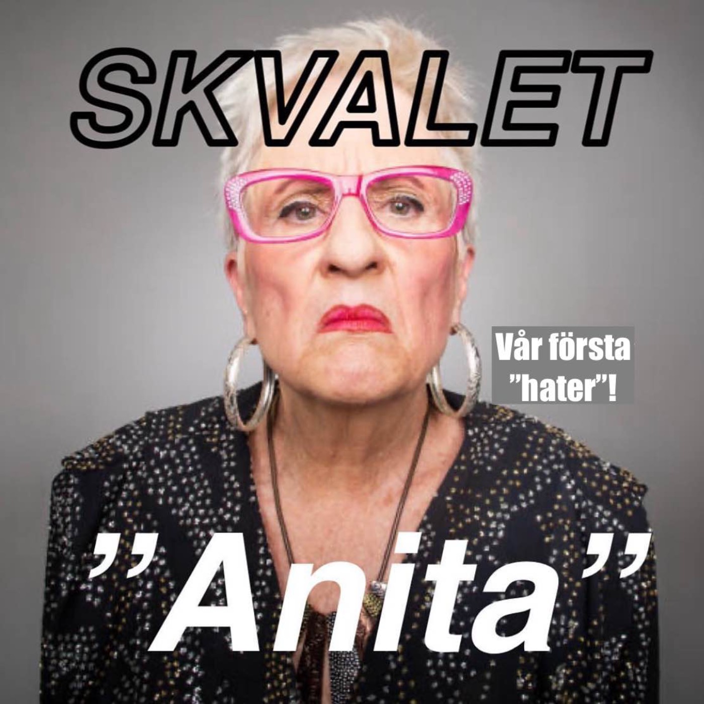 14. Anita episode artwork