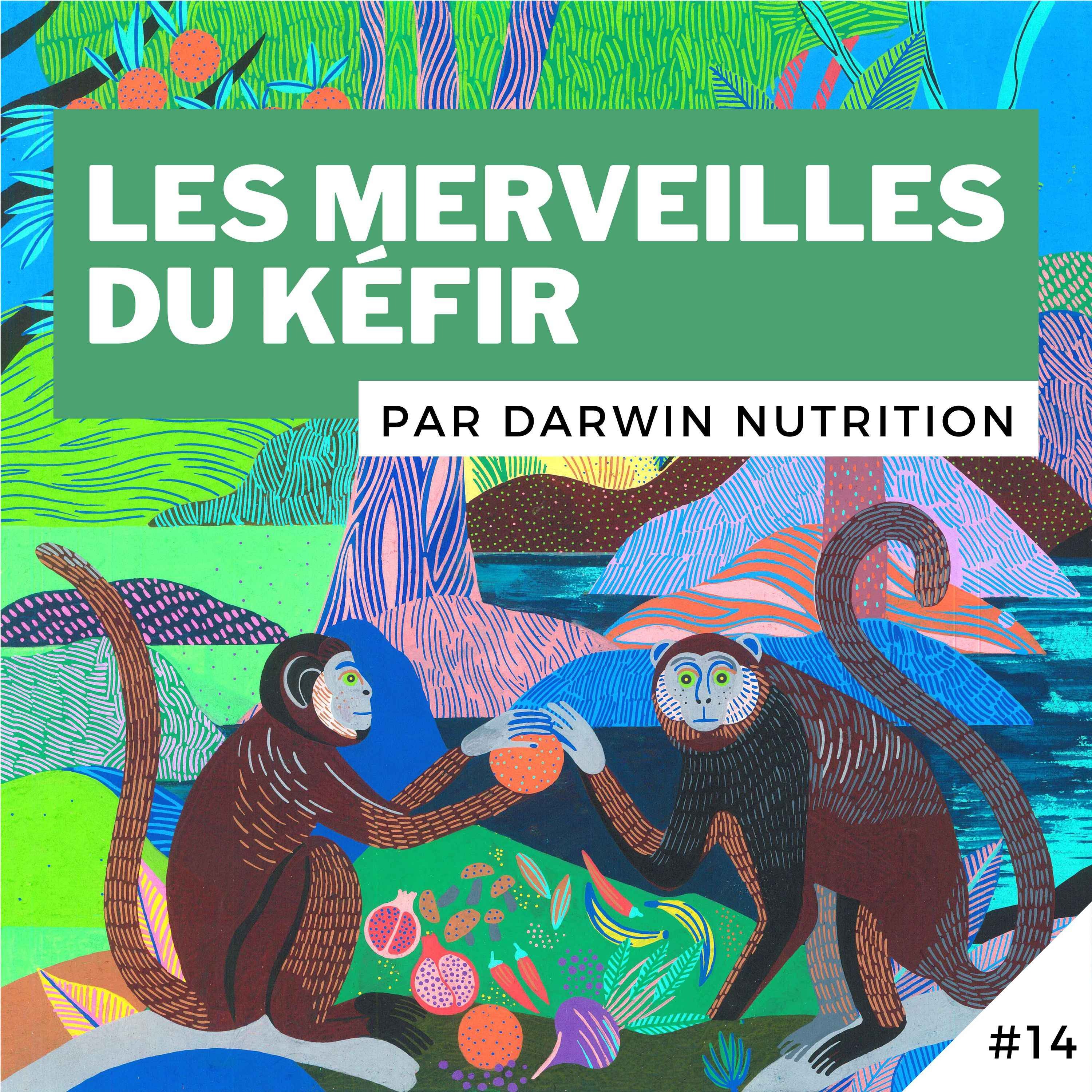 Révolutions alimentaires !