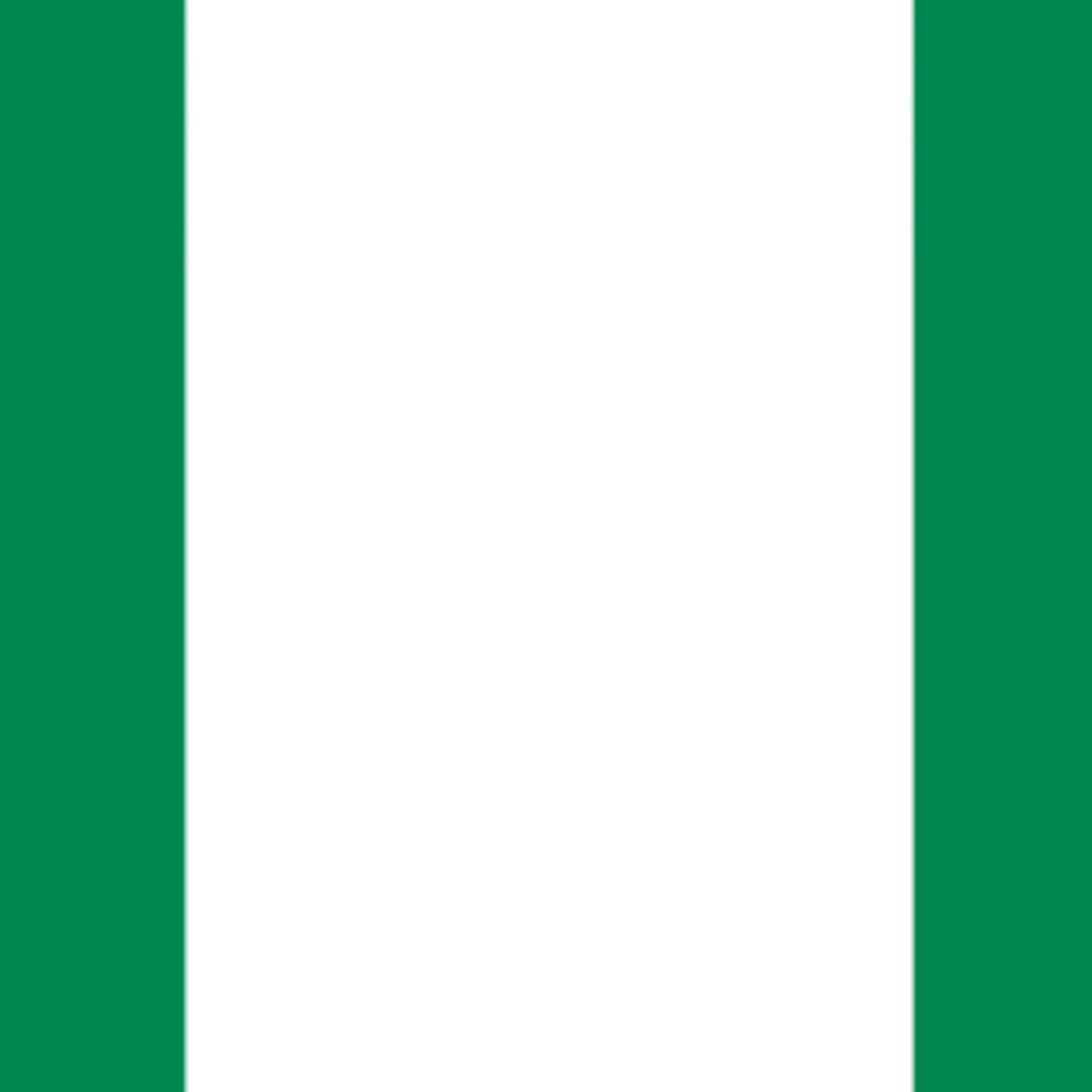 cover art for Allmänna val i Nigeria