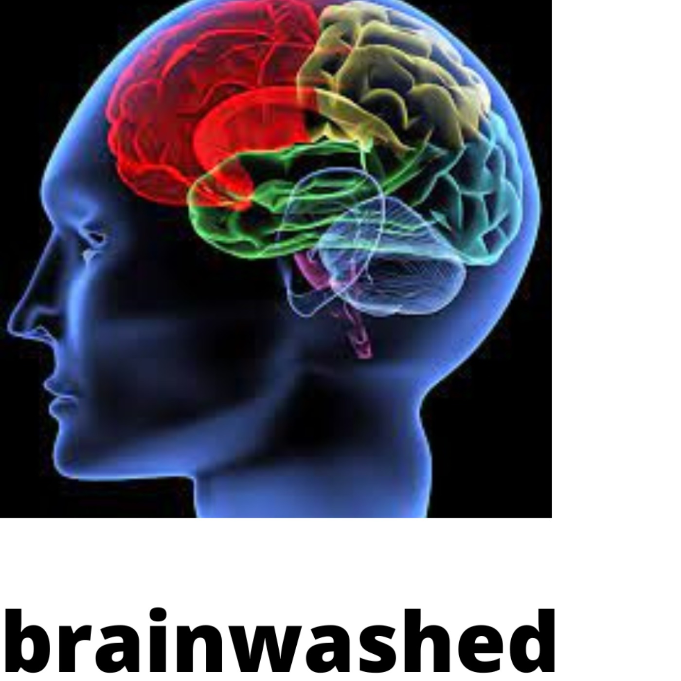 80. Manufacturing Consent >>> Modern Brainwashing