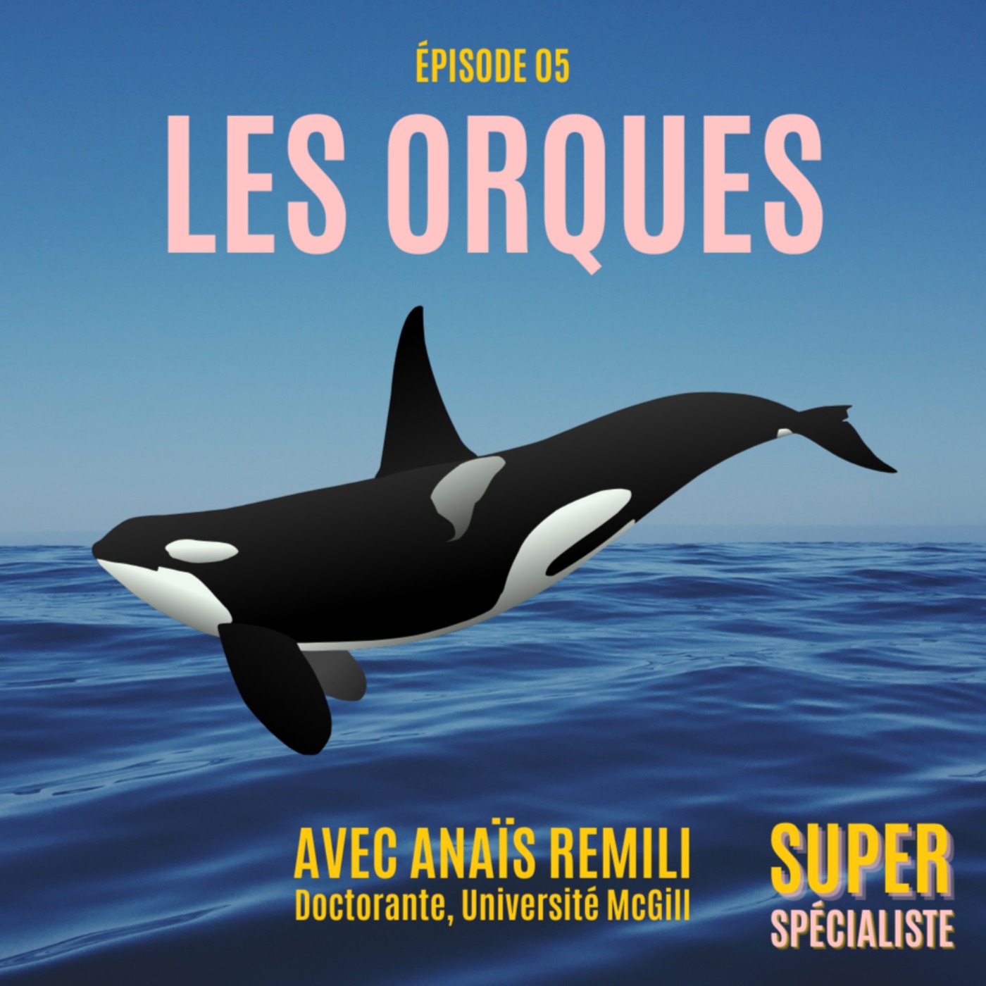 cover art for Les orques (épaulards), avec Anaïs Remili