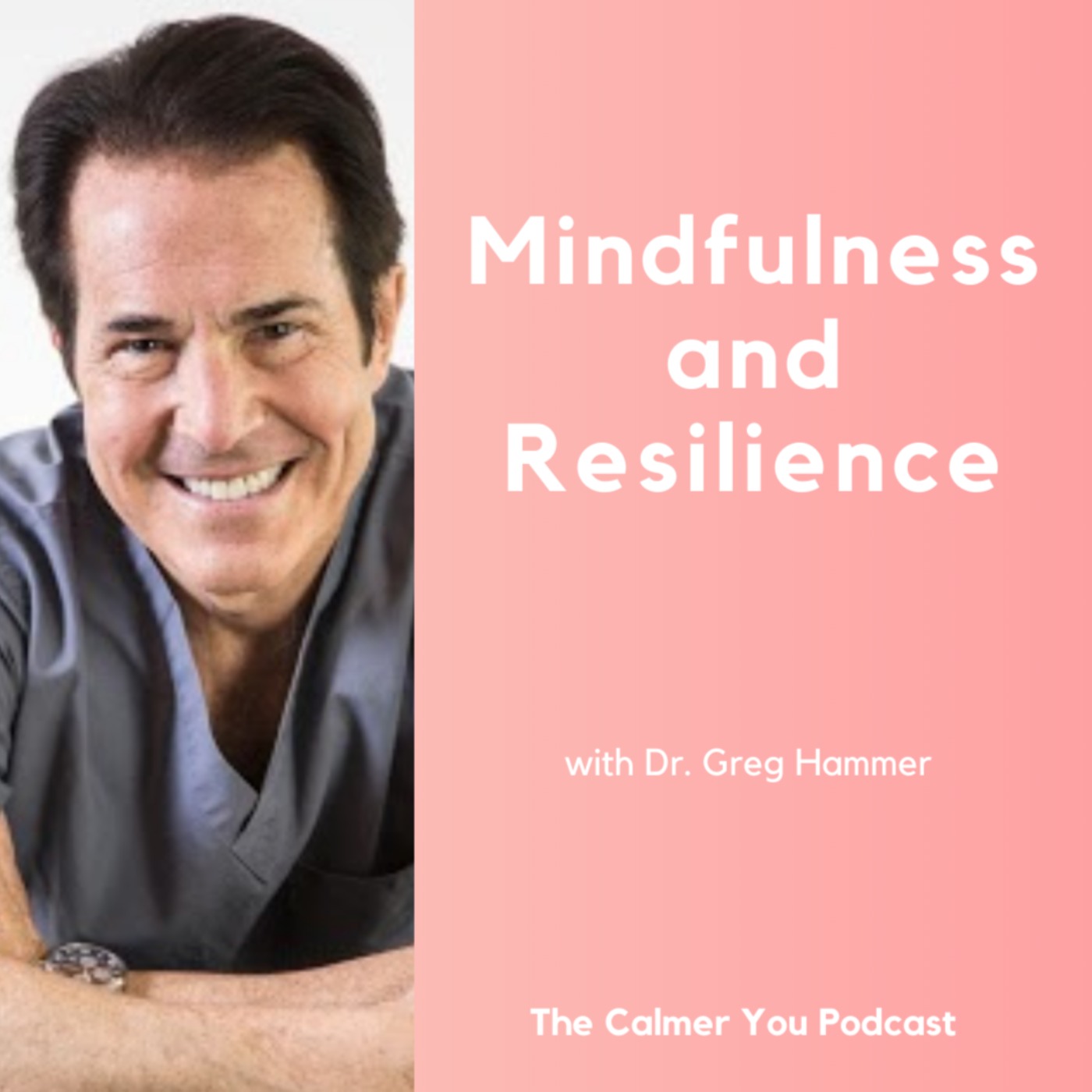 Ep 178. Mindfulness and Resilience with Dr. Greg Hammer