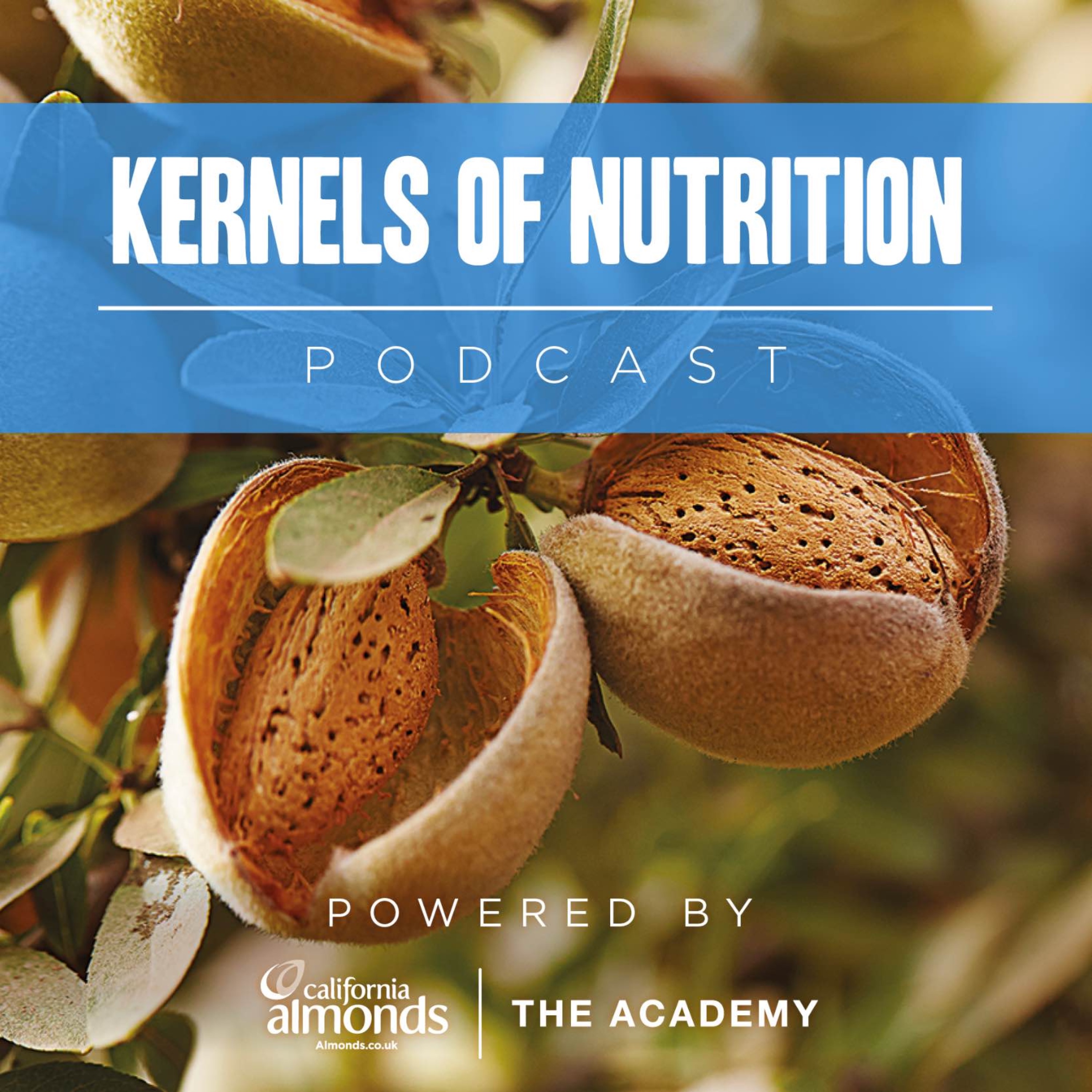 cover art for Kernels of Nutrition - Trailer